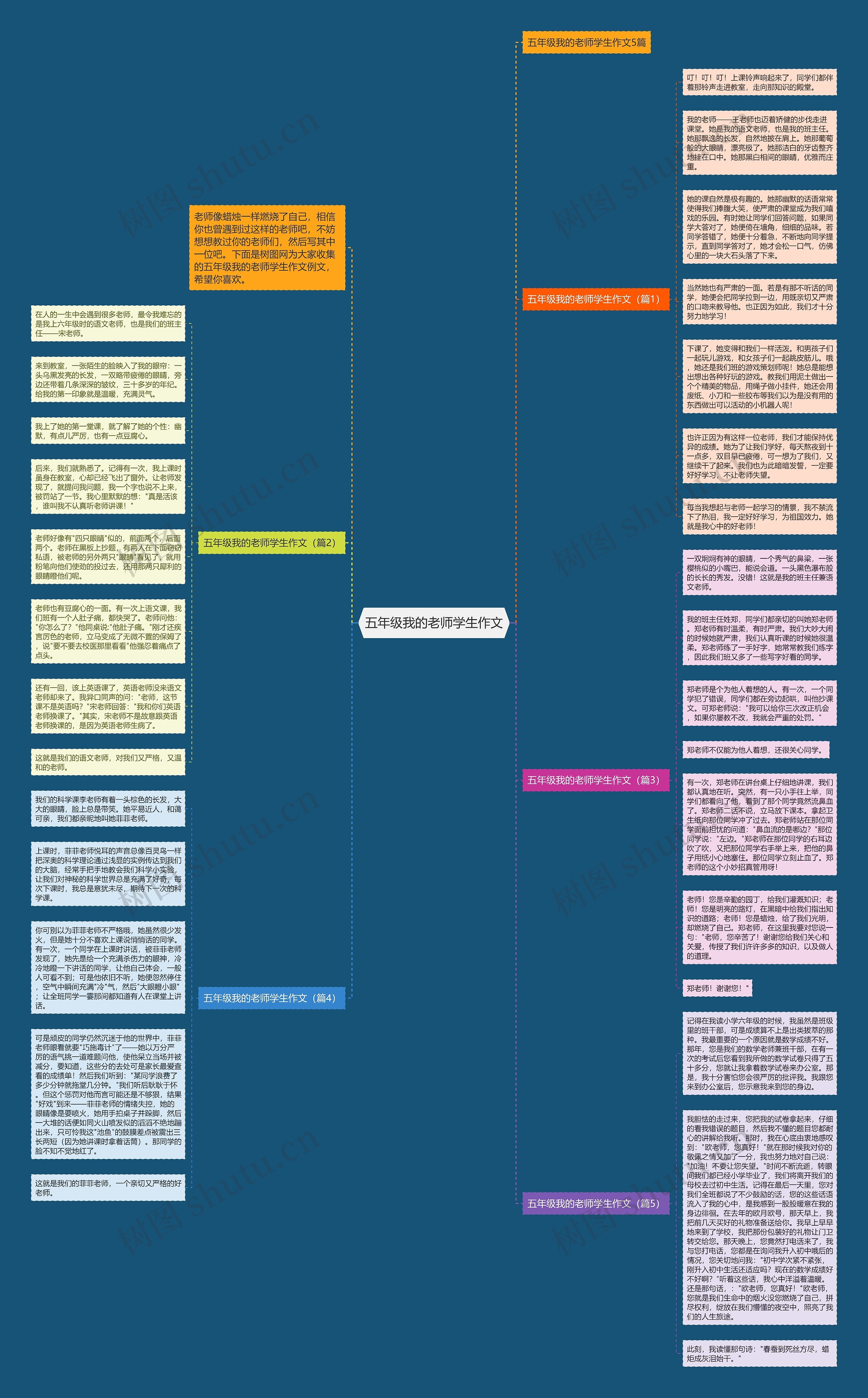 五年级我的老师学生作文