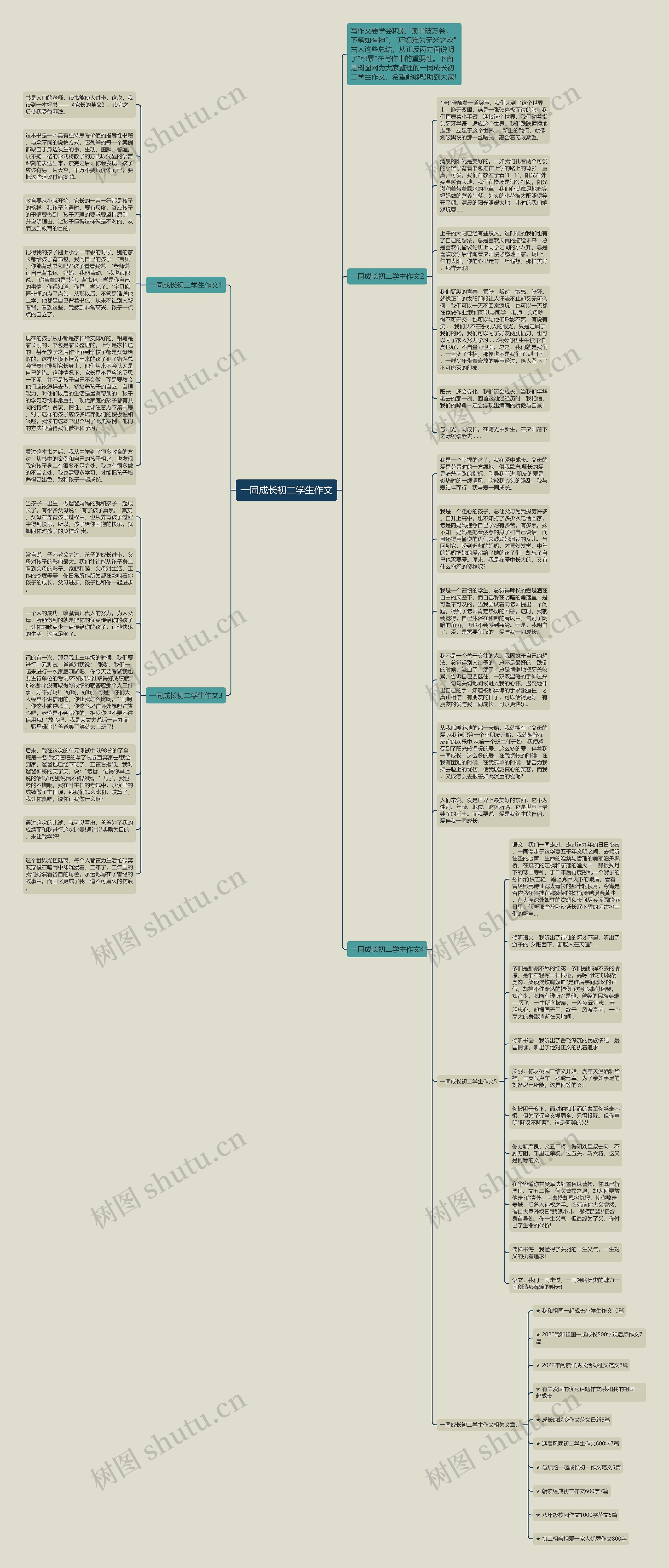 一同成长初二学生作文思维导图