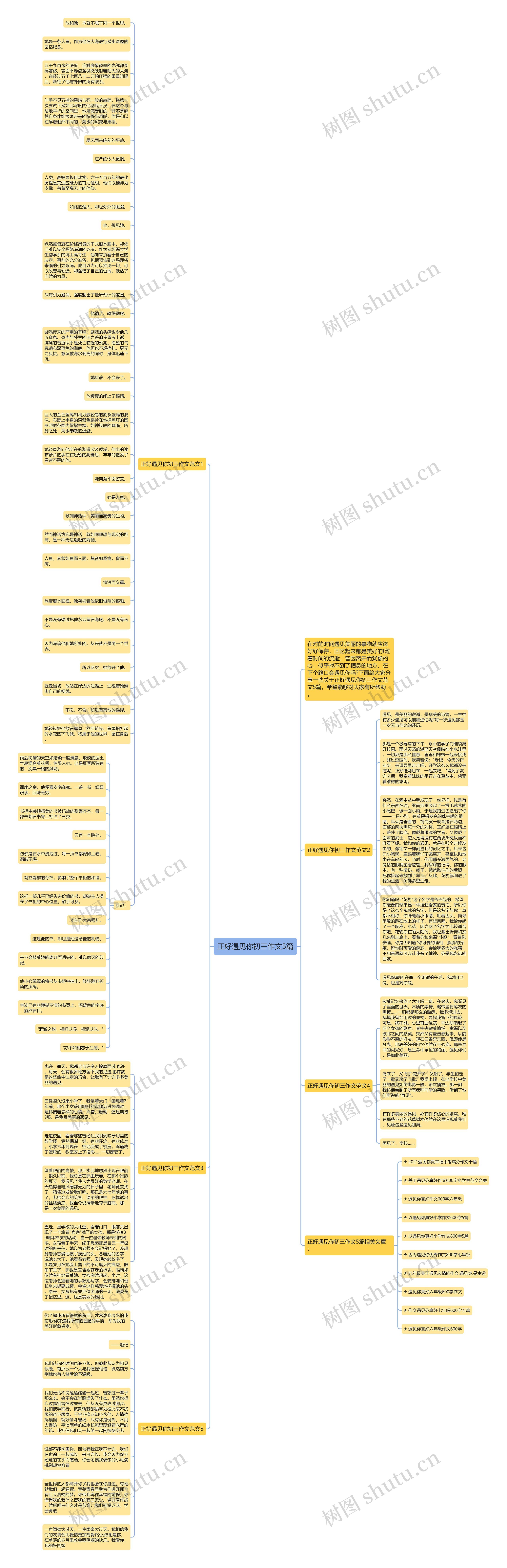 正好遇见你初三作文5篇思维导图