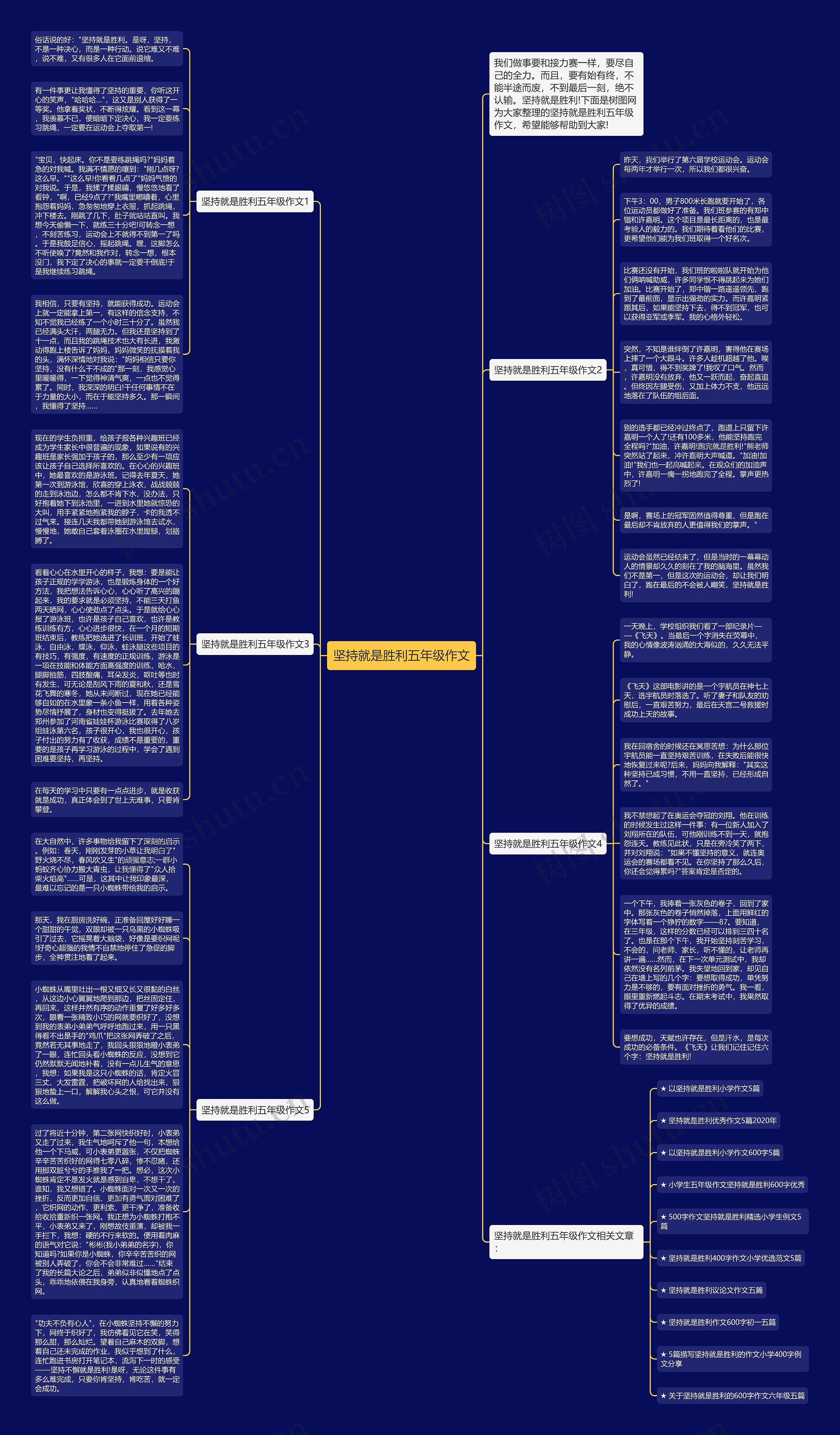 坚持就是胜利五年级作文思维导图
