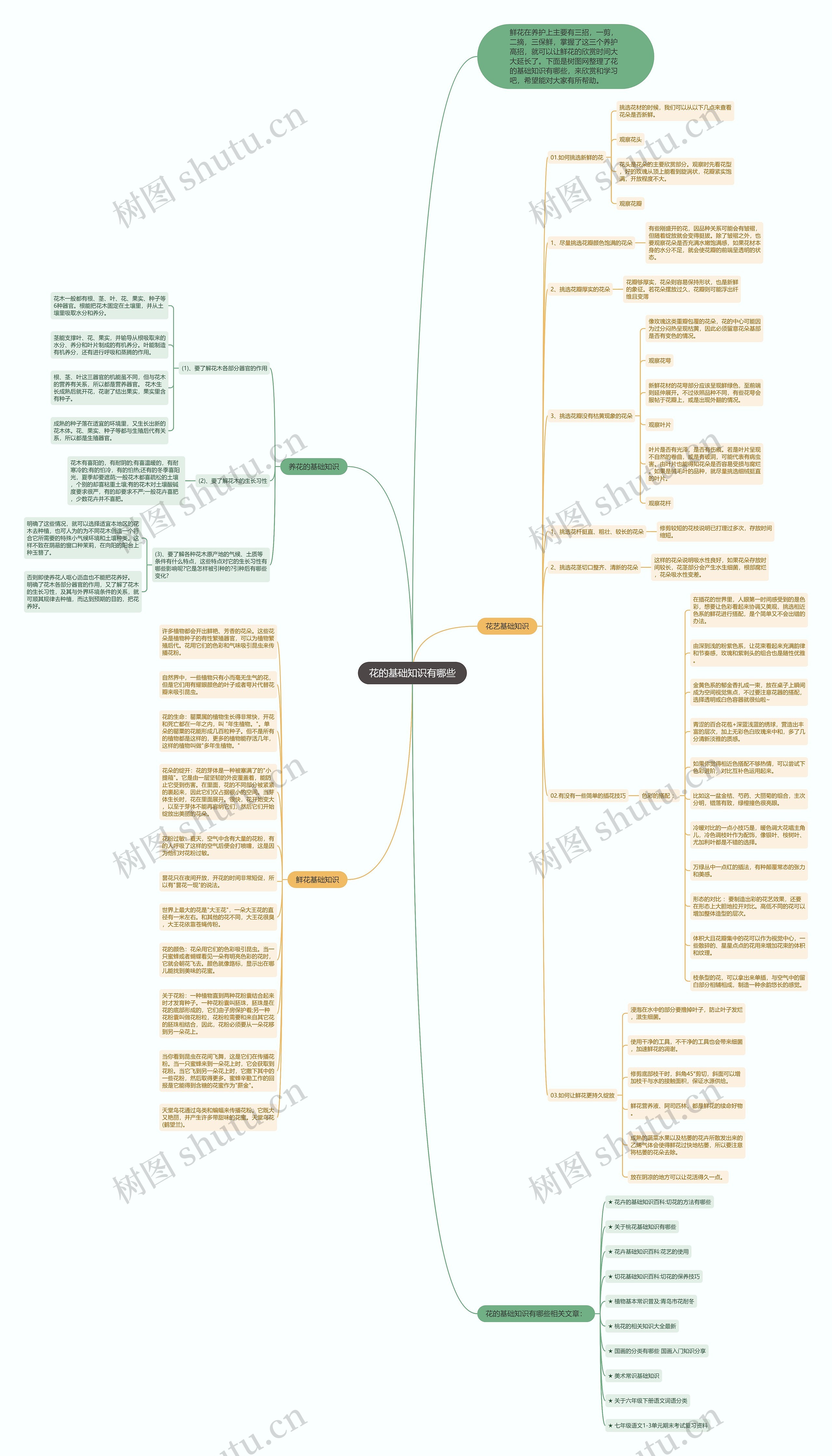 花的基础知识有哪些思维导图