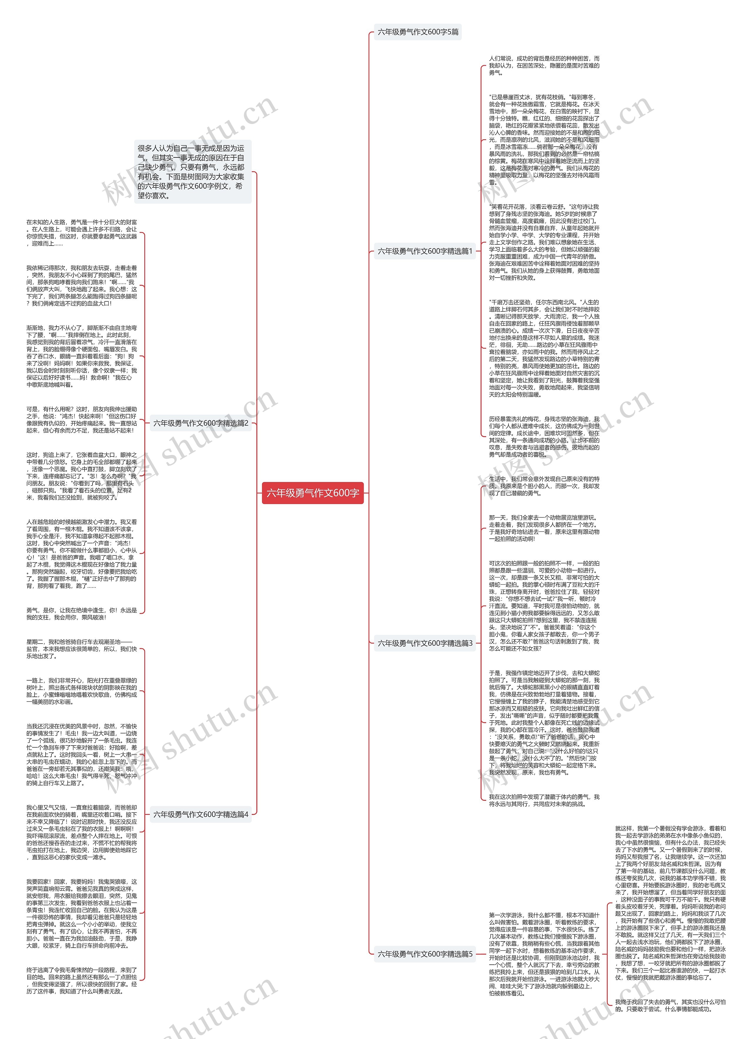 六年级勇气作文600字思维导图