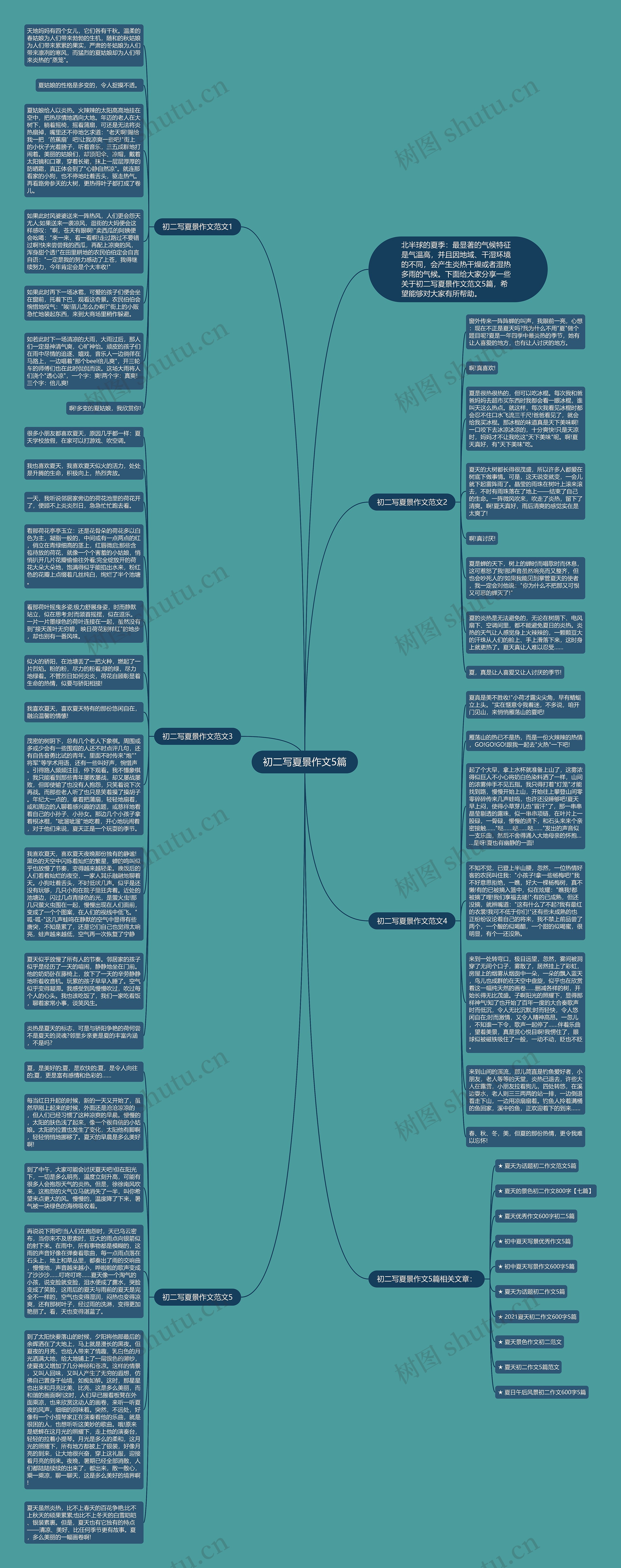 初二写夏景作文5篇思维导图