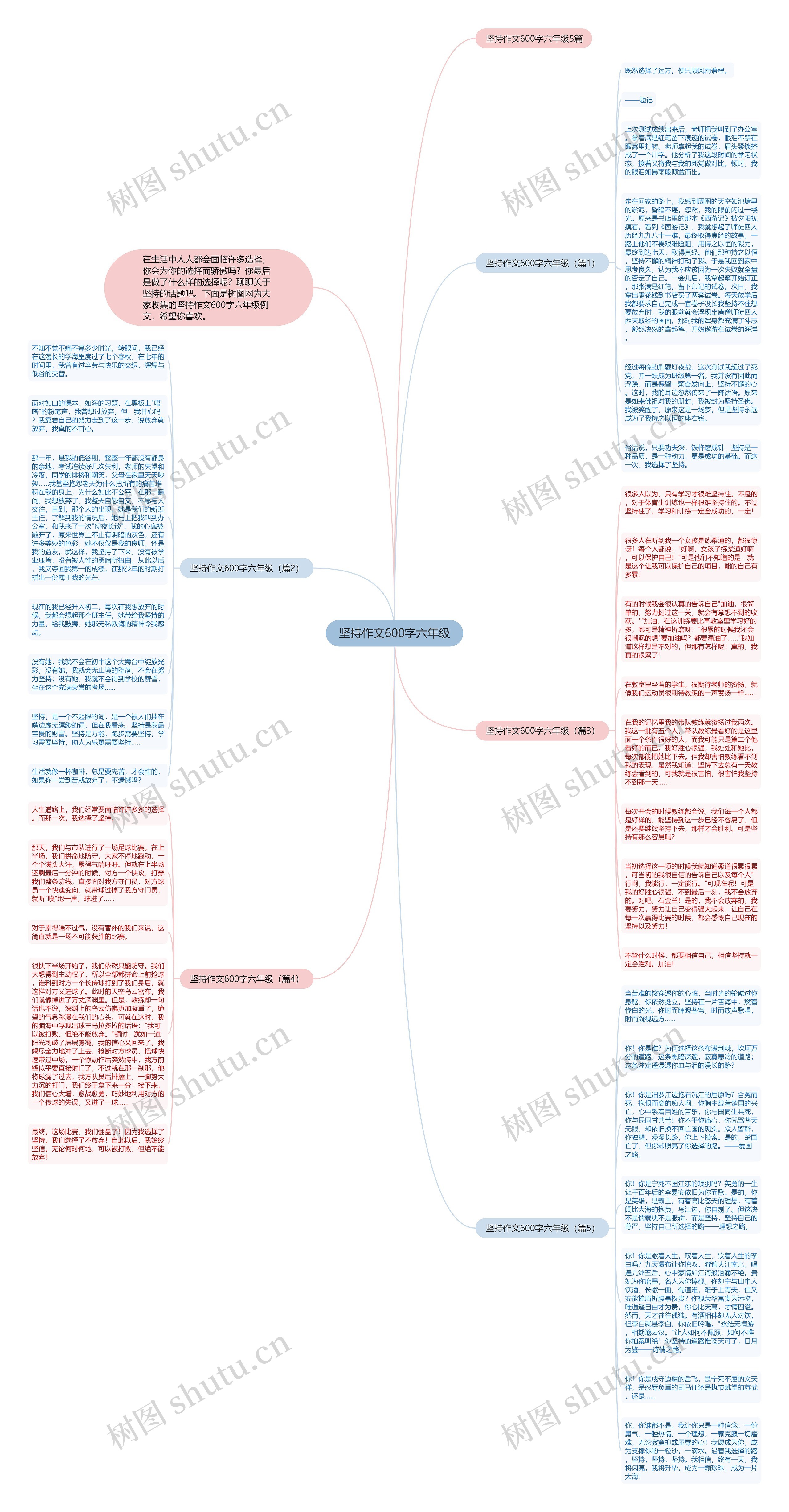 坚持作文600字六年级思维导图