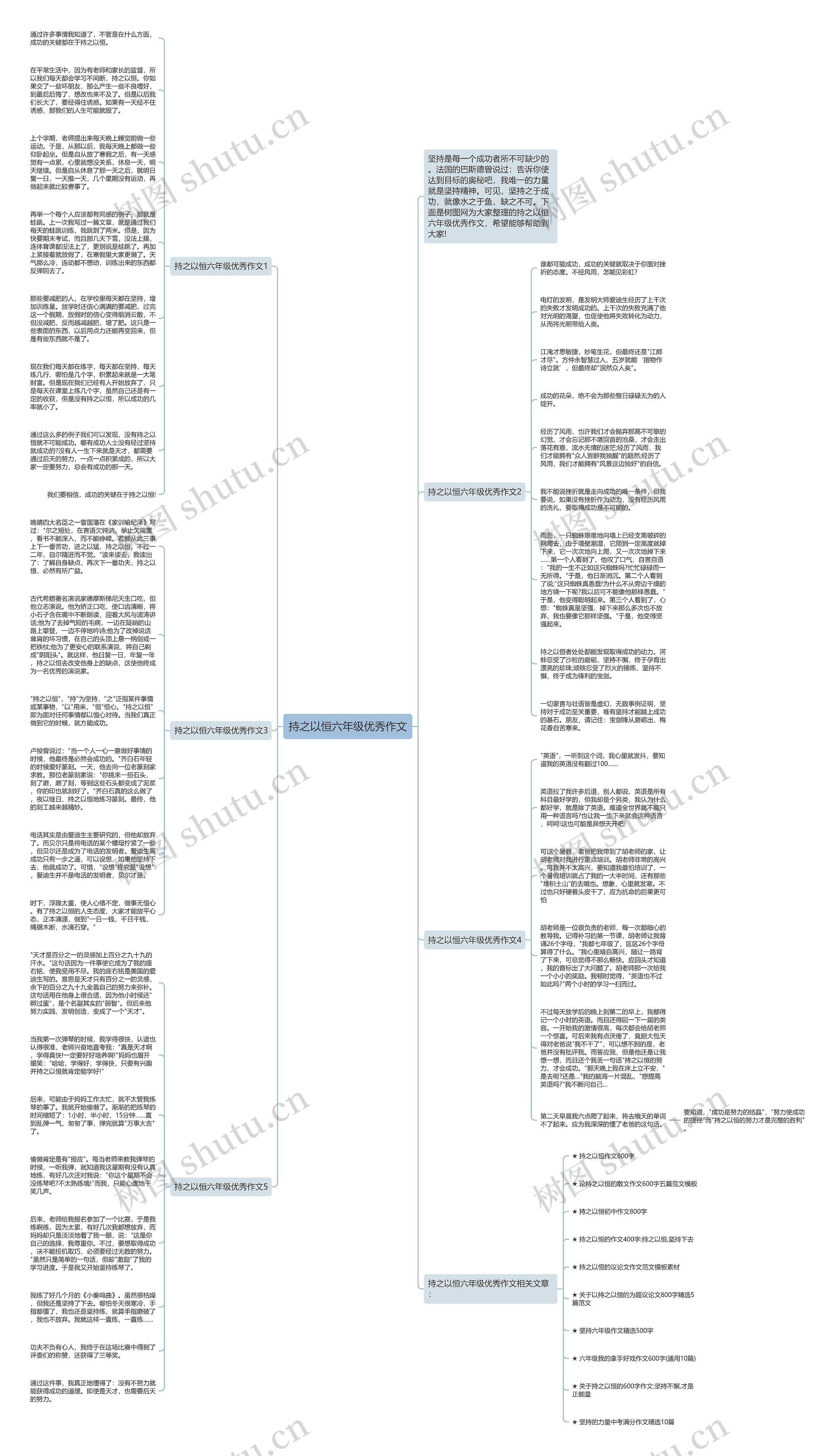 持之以恒六年级优秀作文思维导图
