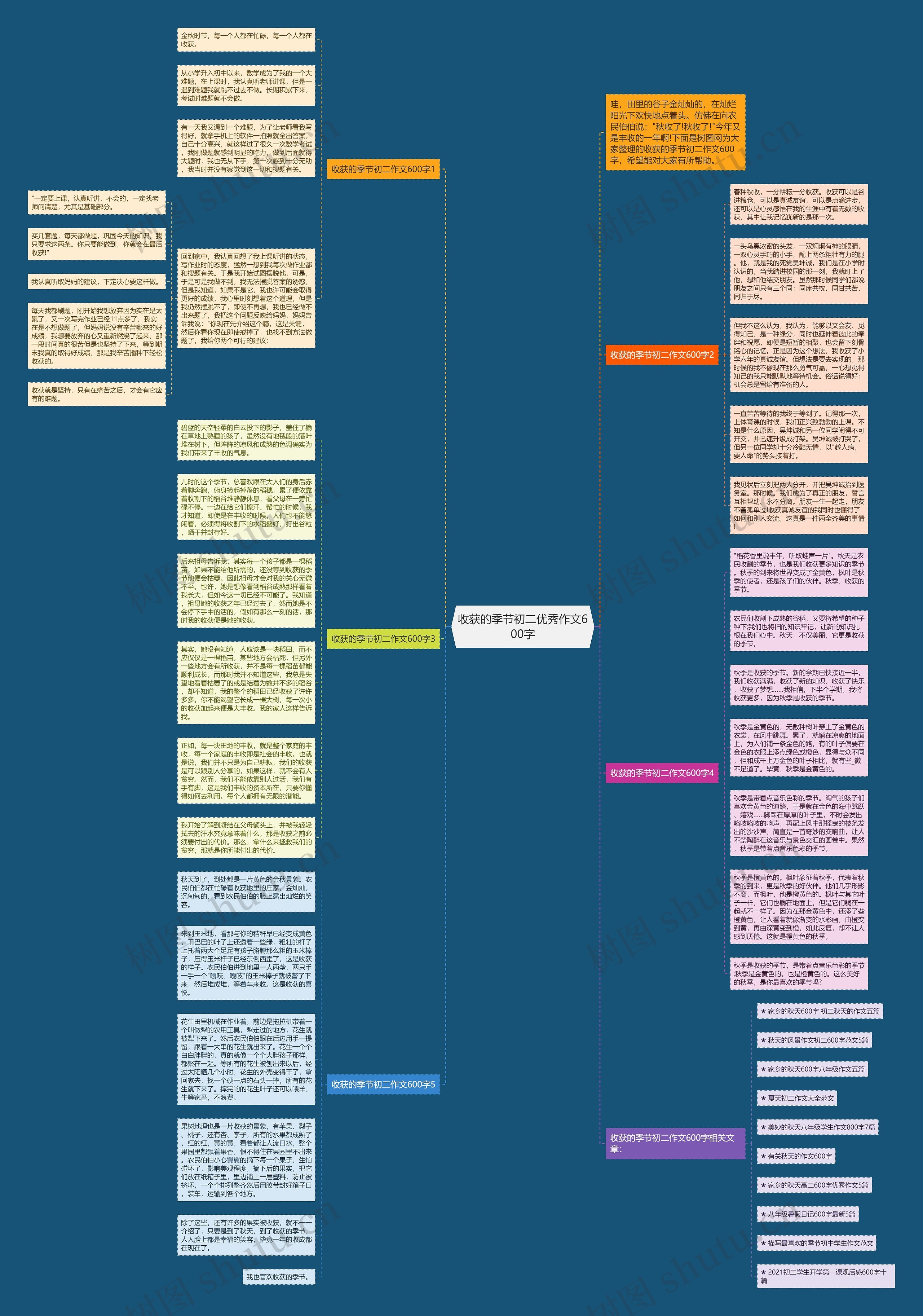 收获的季节初二优秀作文600字思维导图