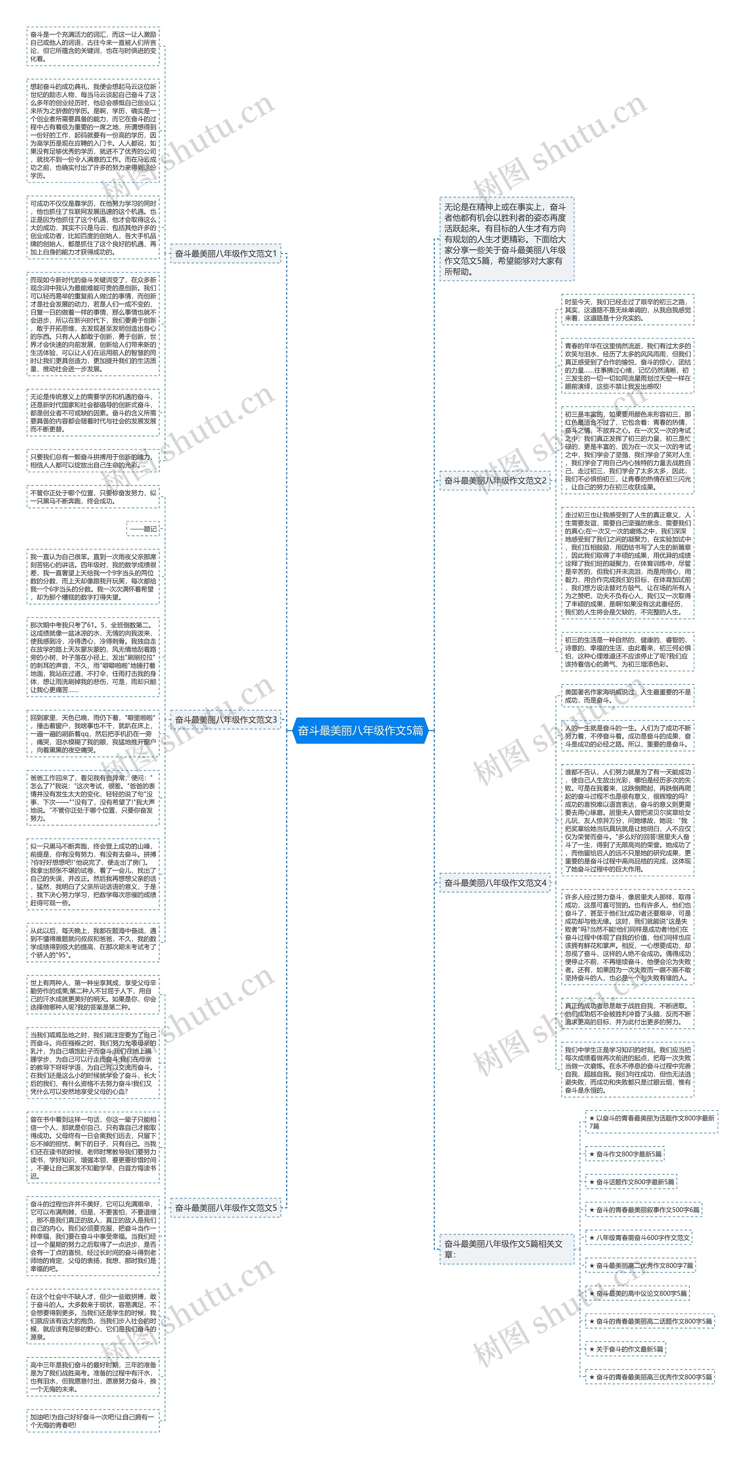 奋斗最美丽八年级作文5篇思维导图