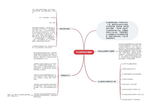 冬虫夏草知识最新思维导图