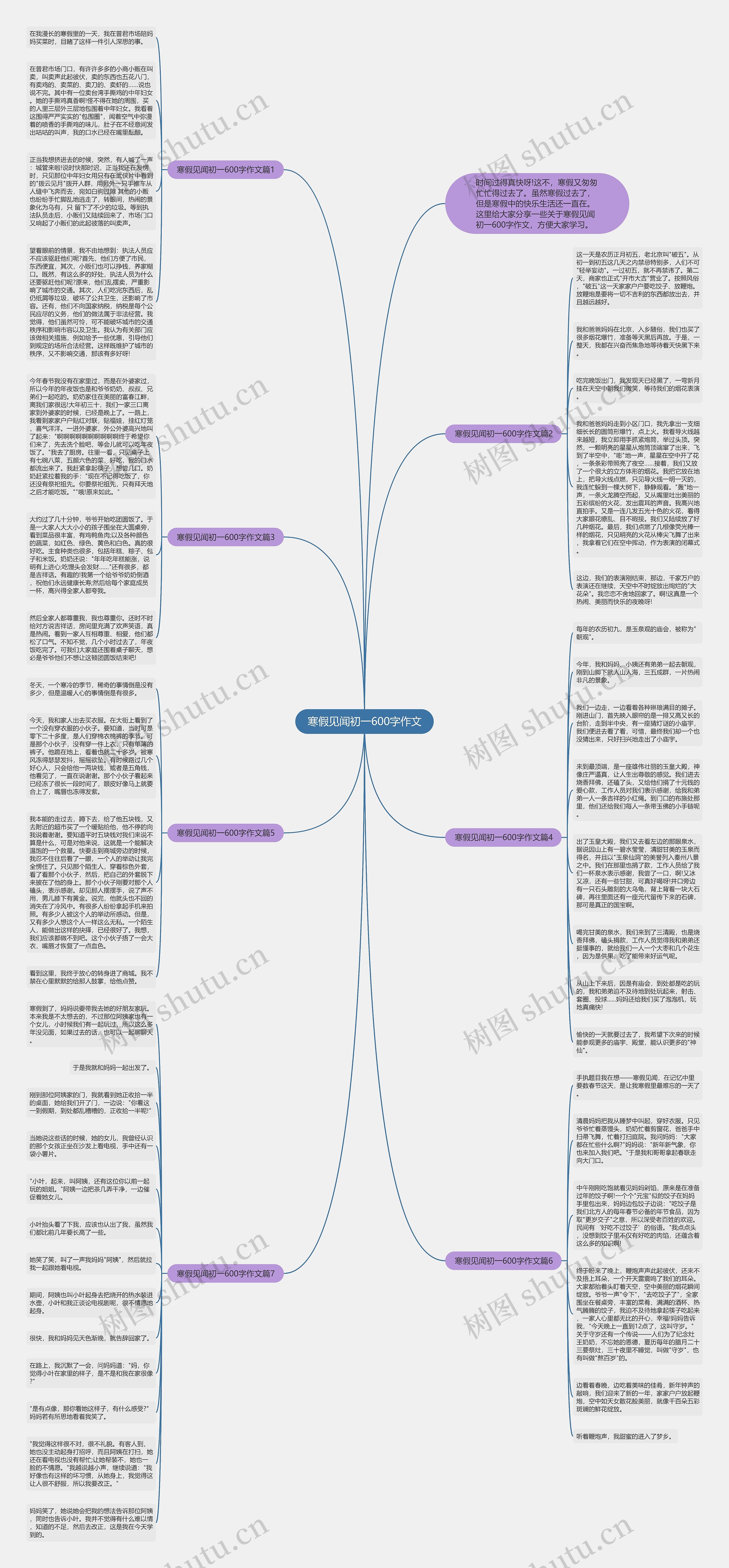 寒假见闻初一600字作文思维导图