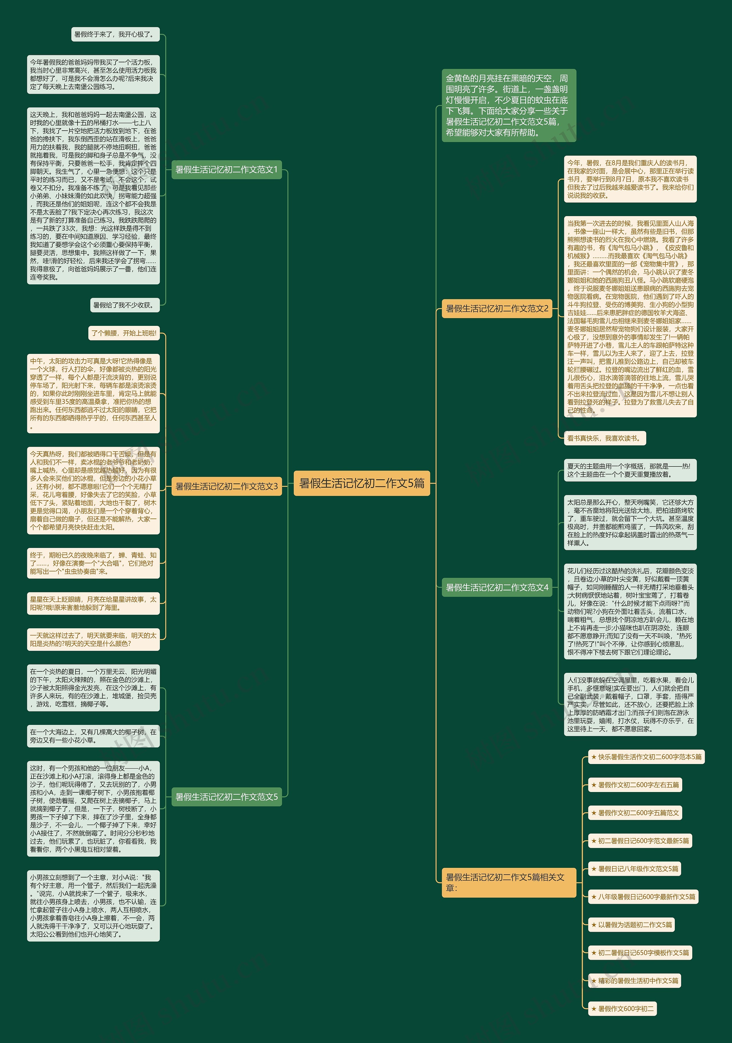 暑假生活记忆初二作文5篇思维导图