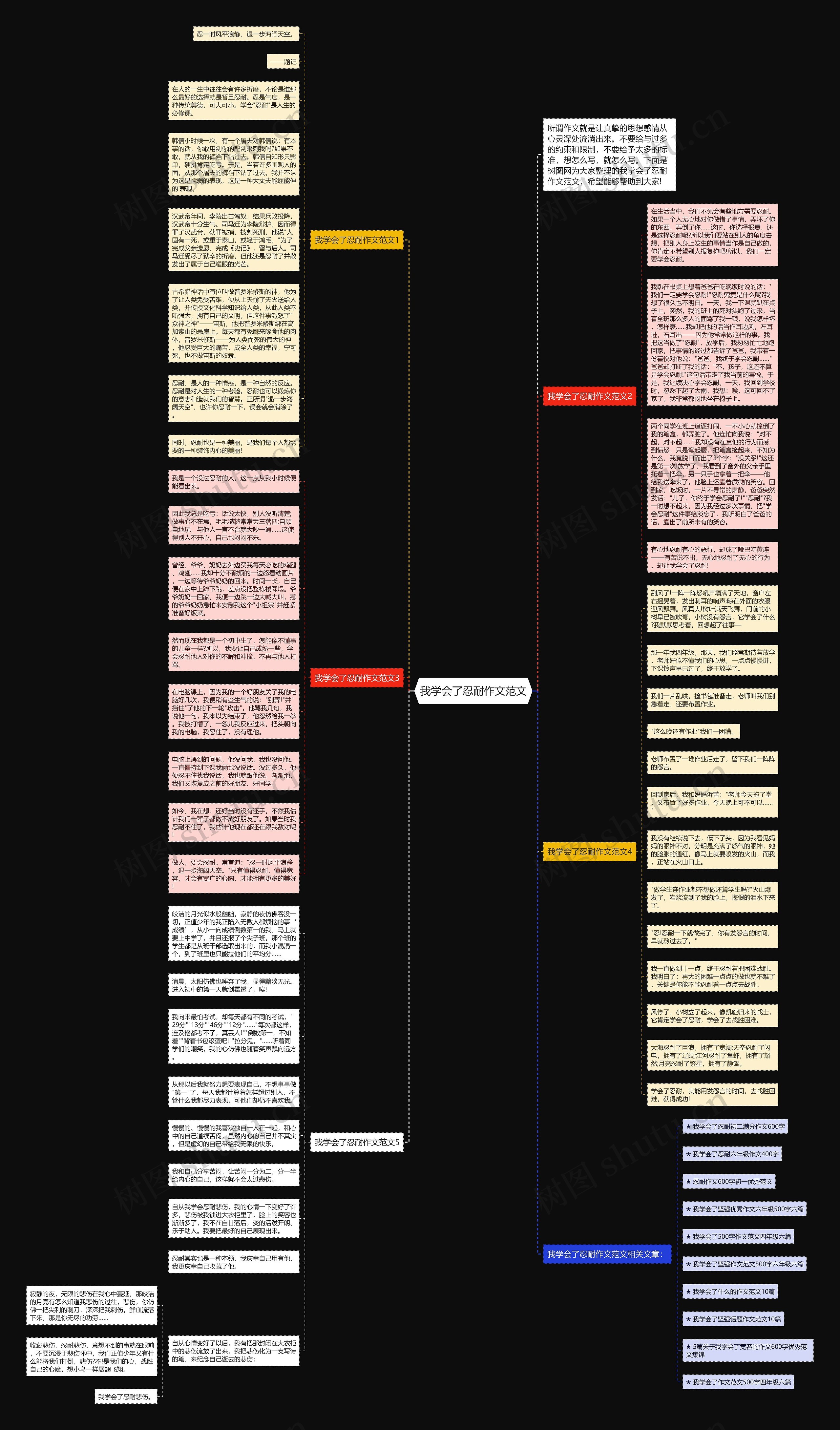 我学会了忍耐作文范文思维导图