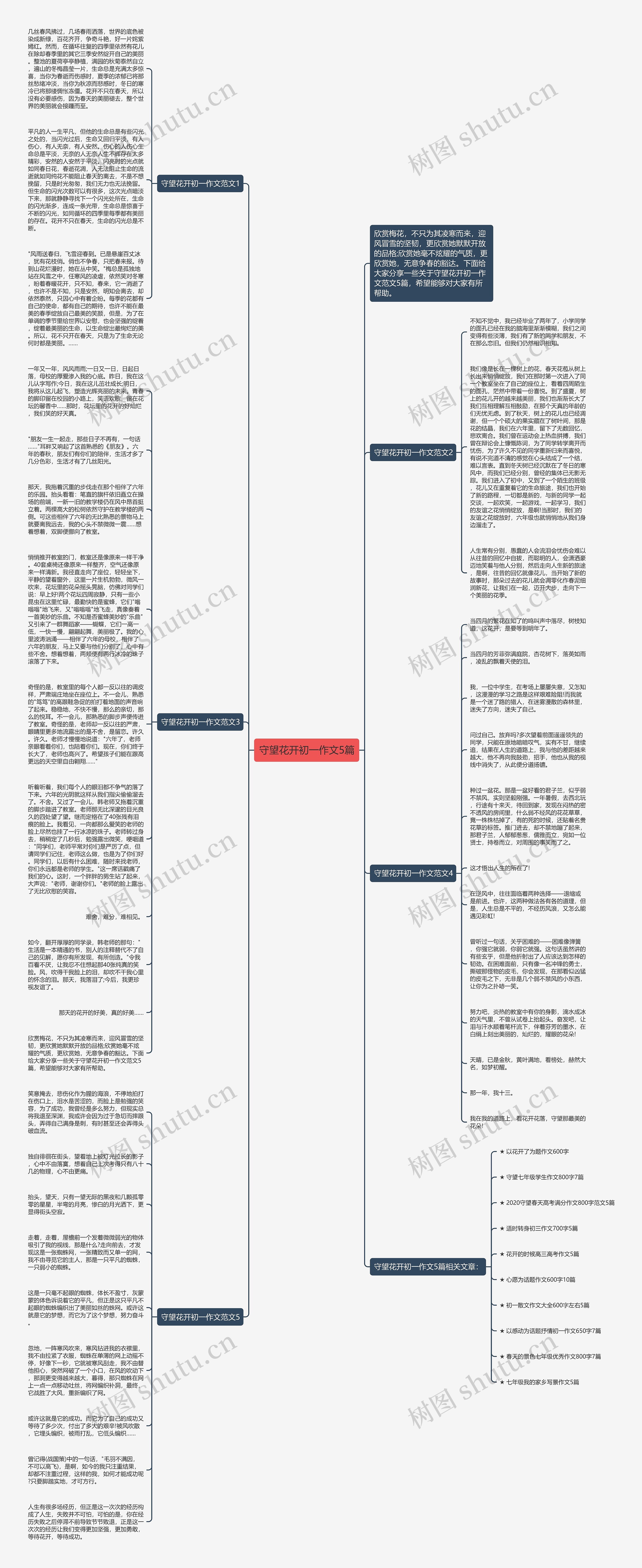 守望花开初一作文5篇思维导图