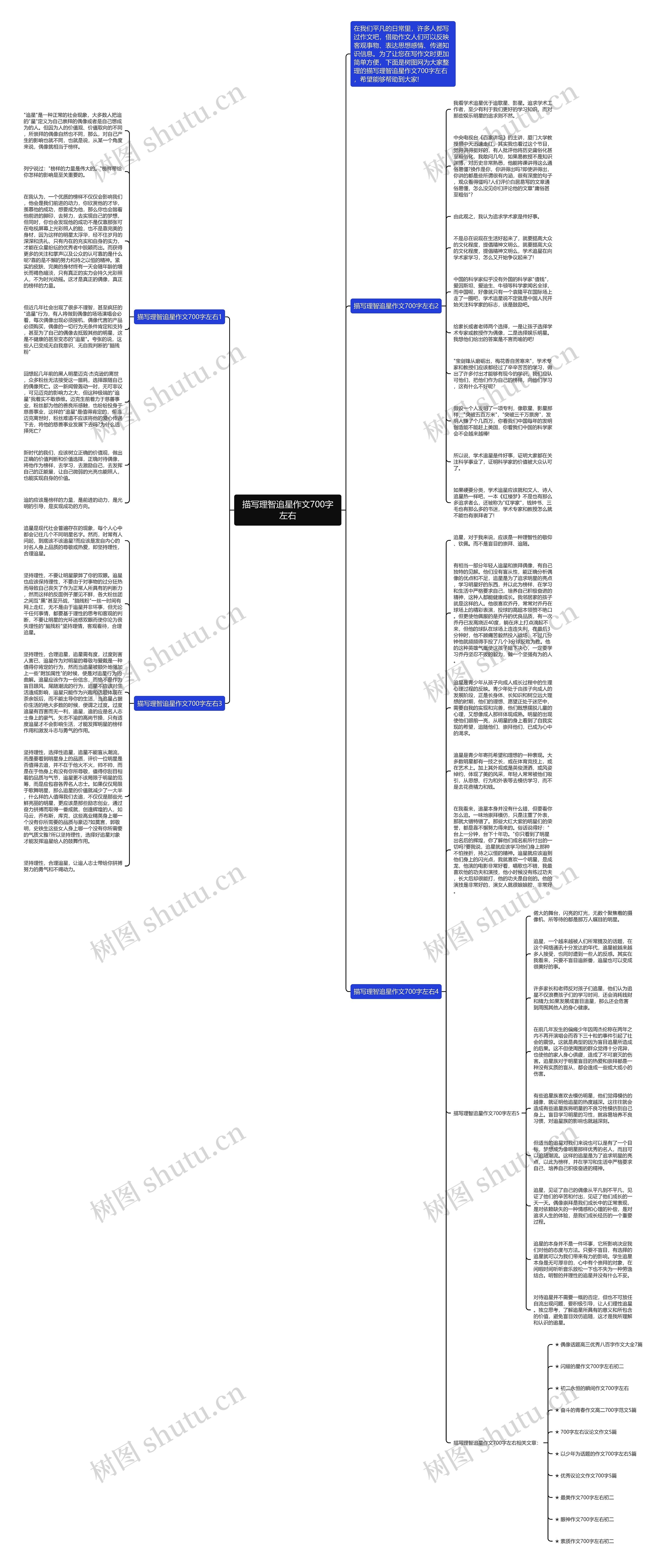 描写理智追星作文700字左右思维导图