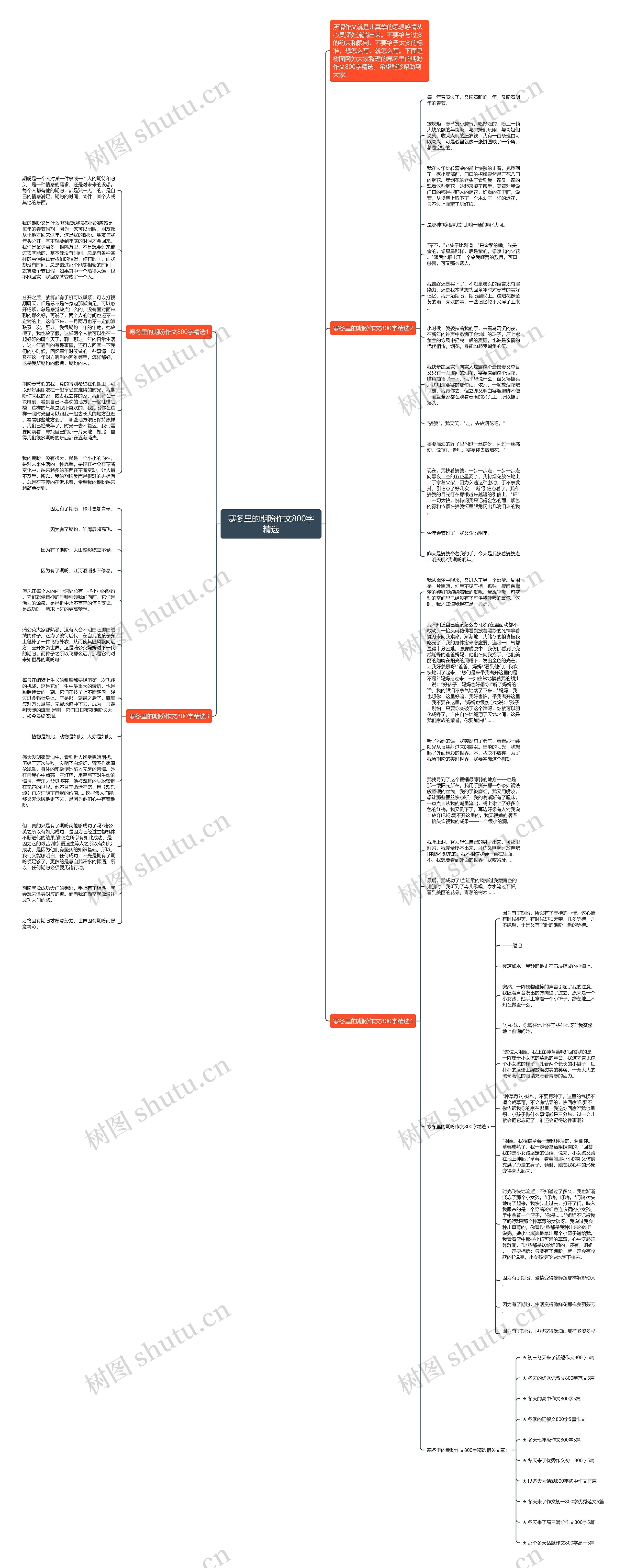 寒冬里的期盼作文800字精选思维导图