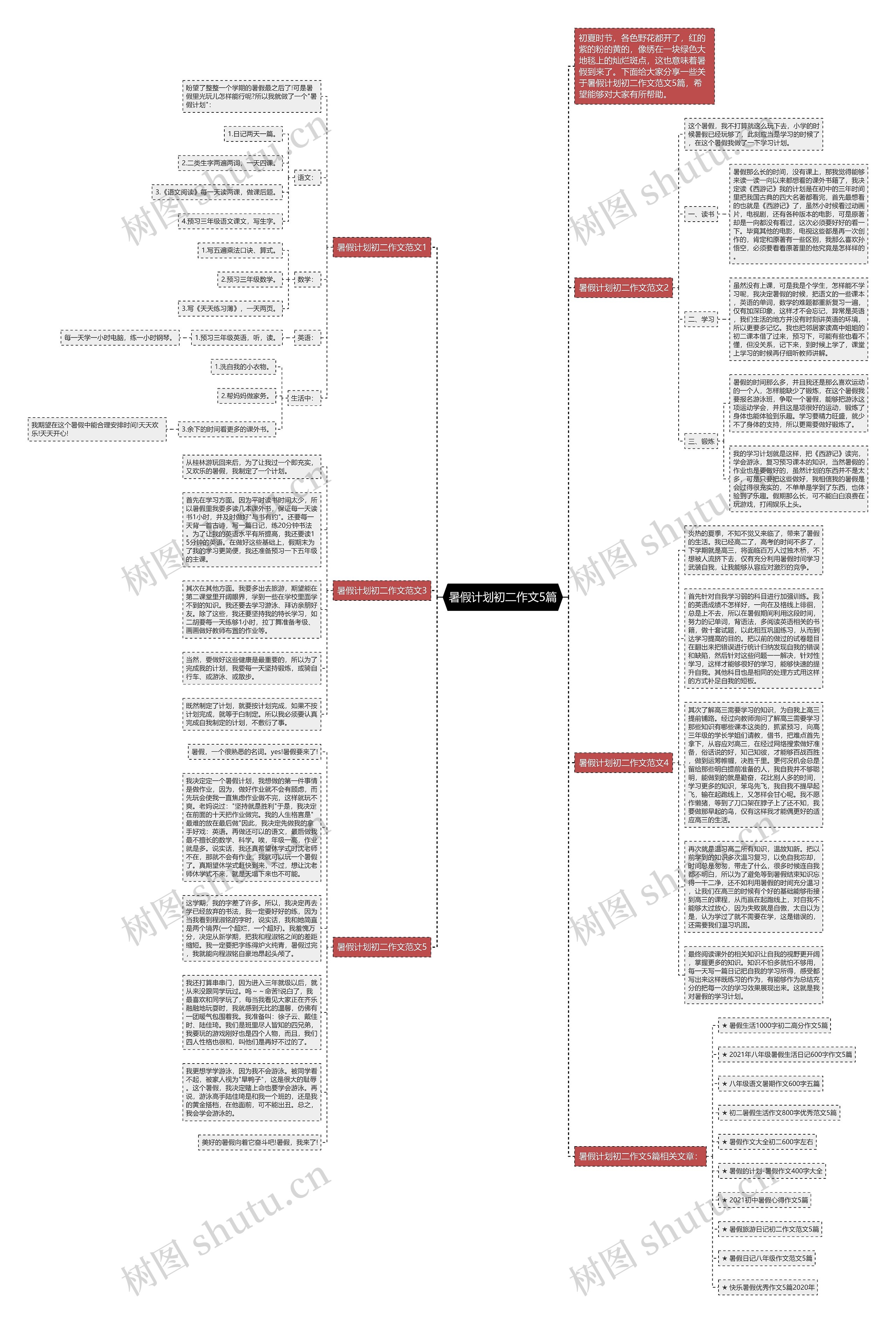 暑假计划初二作文5篇思维导图