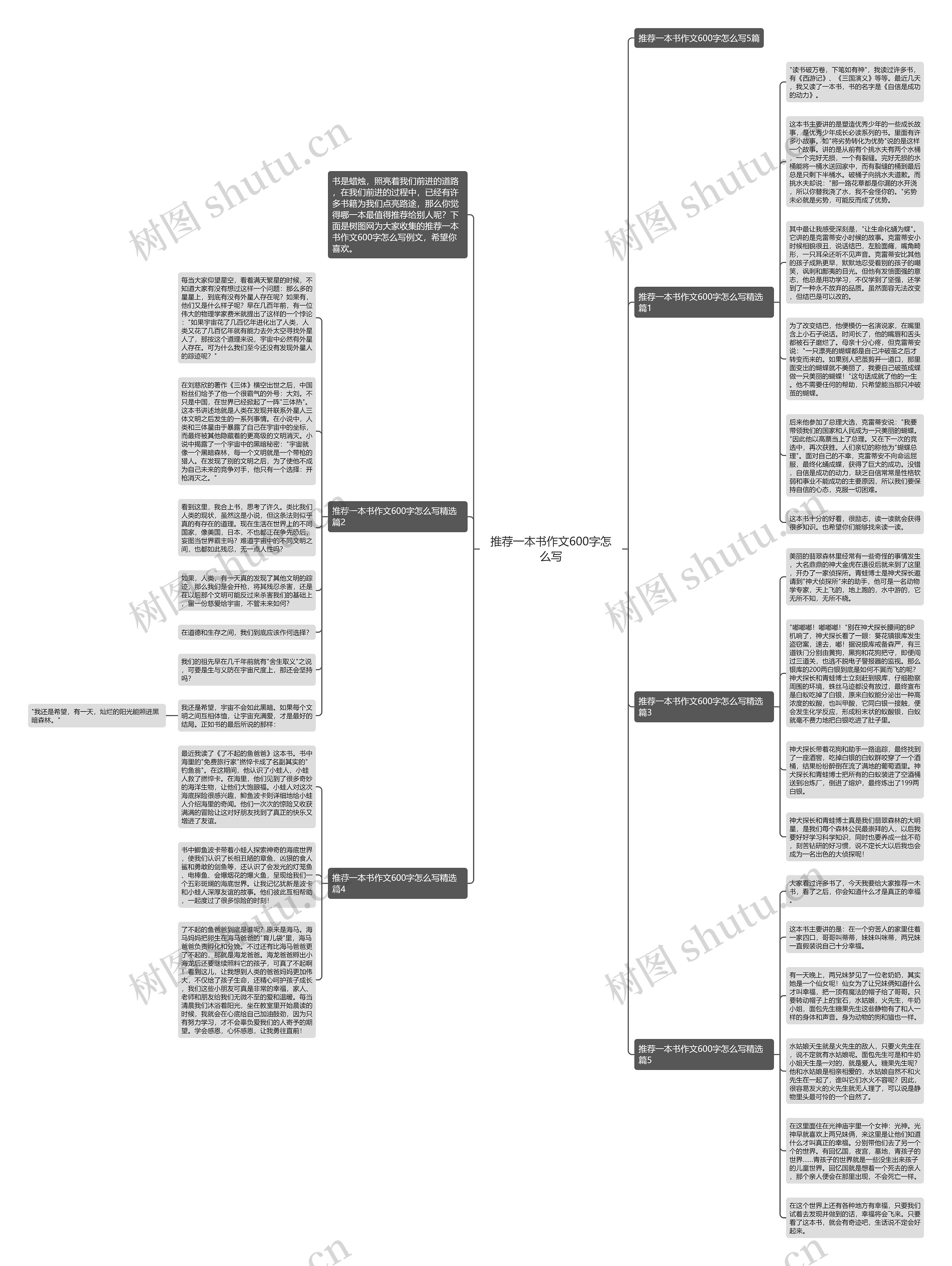 推荐一本书作文600字怎么写思维导图