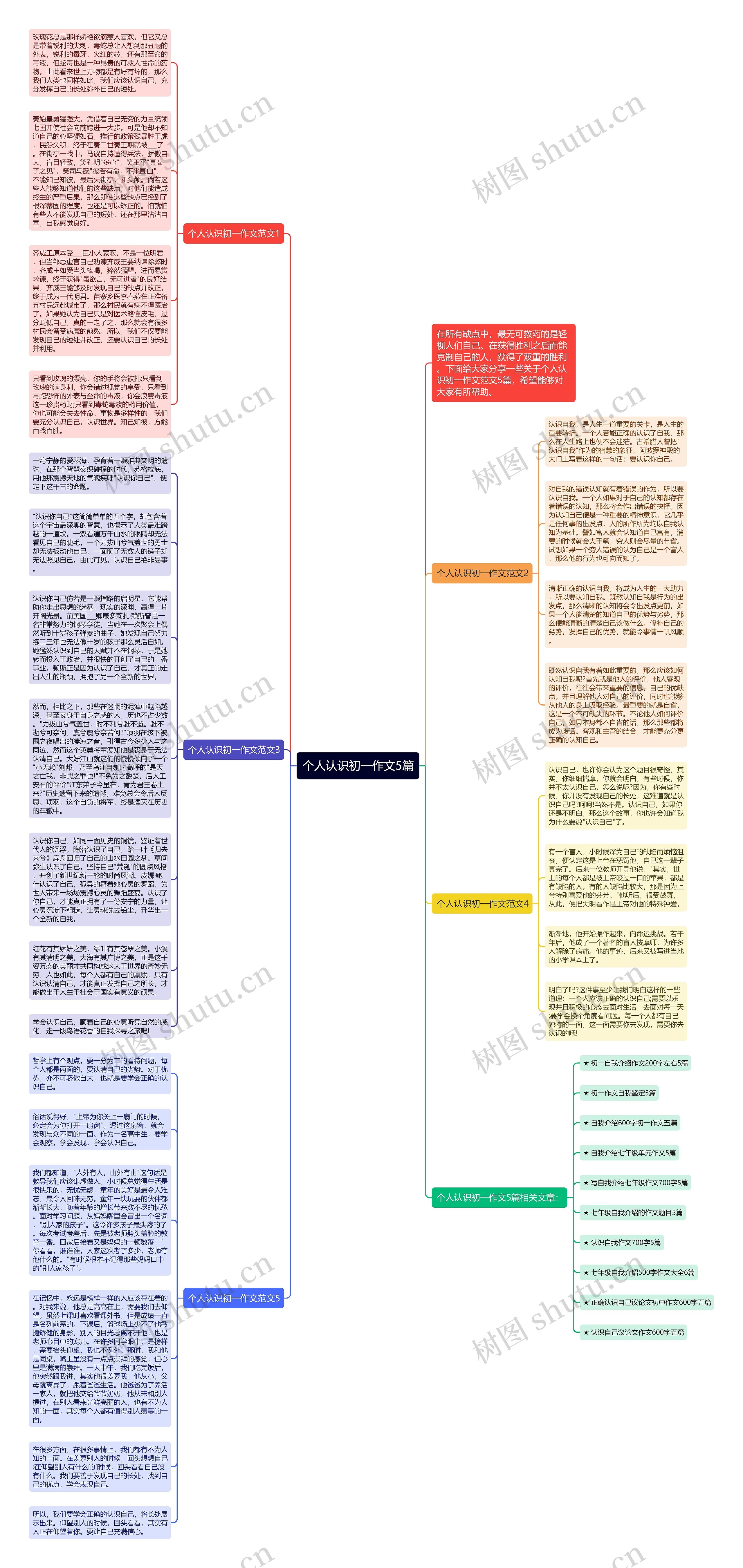 个人认识初一作文5篇思维导图