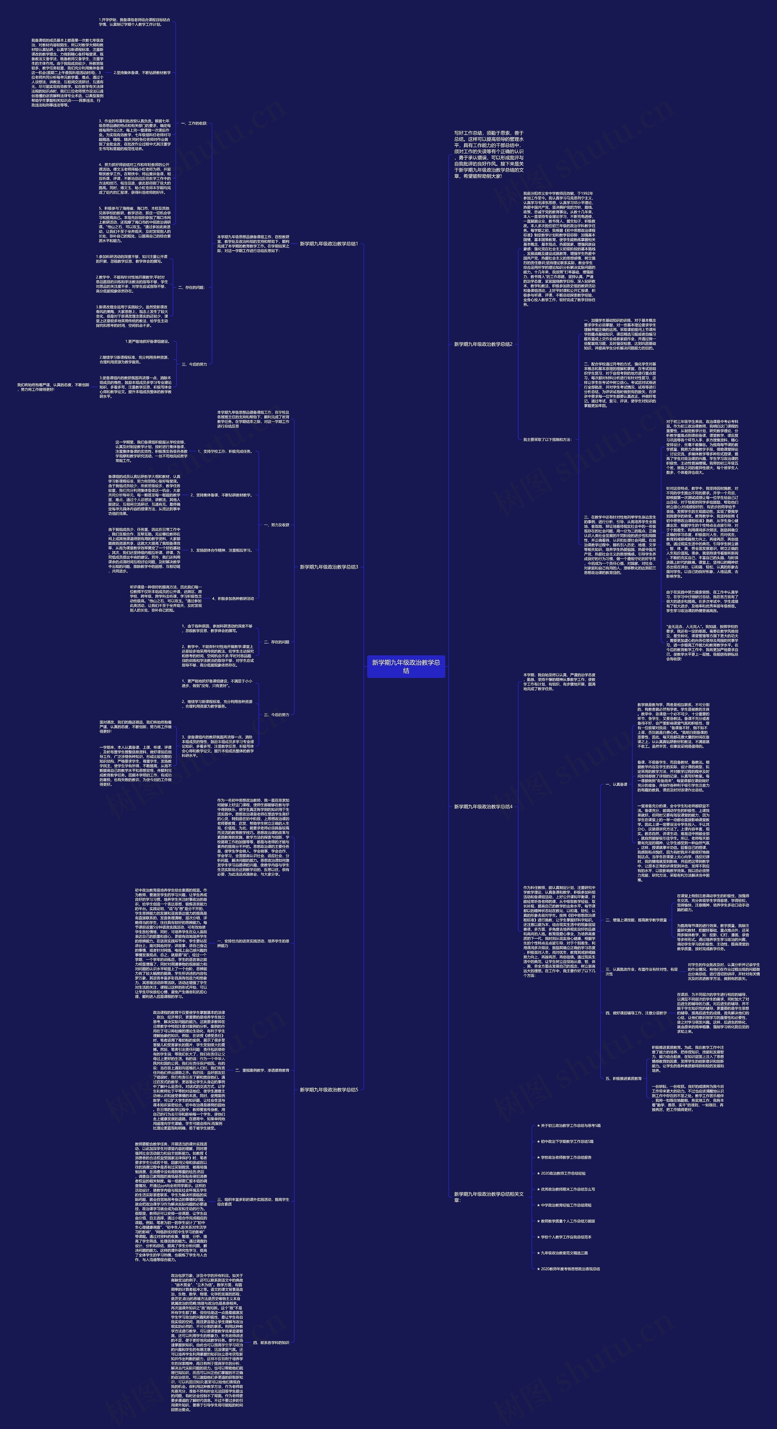 新学期九年级政治教学总结思维导图