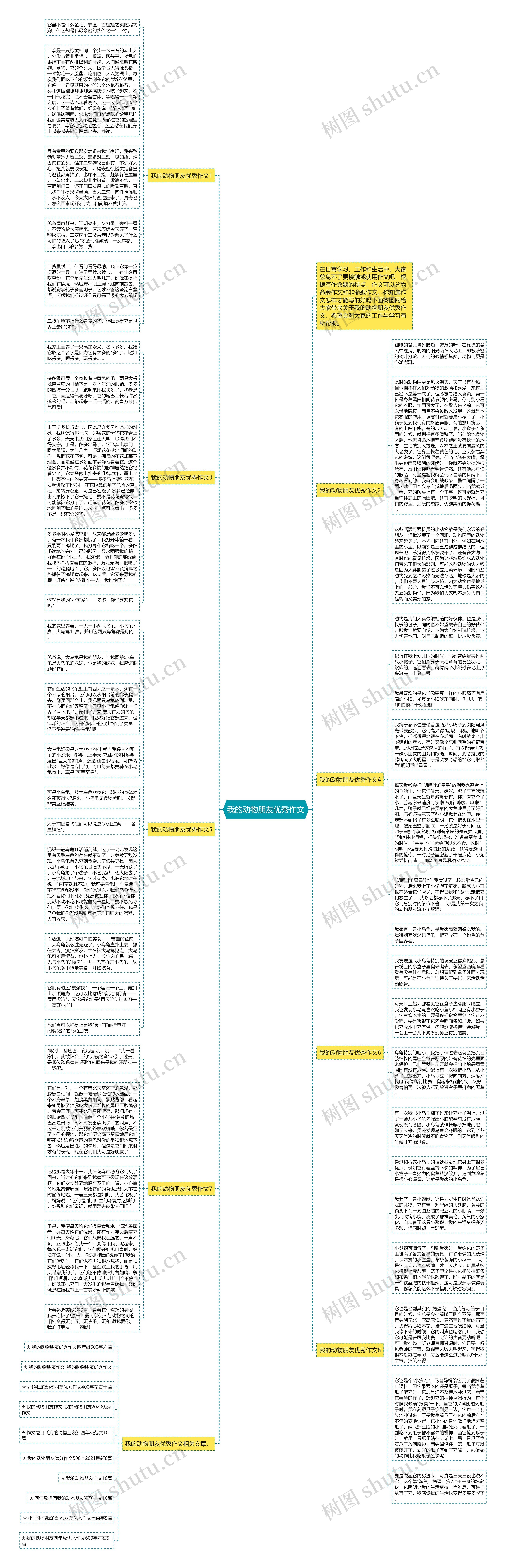 我的动物朋友优秀作文思维导图