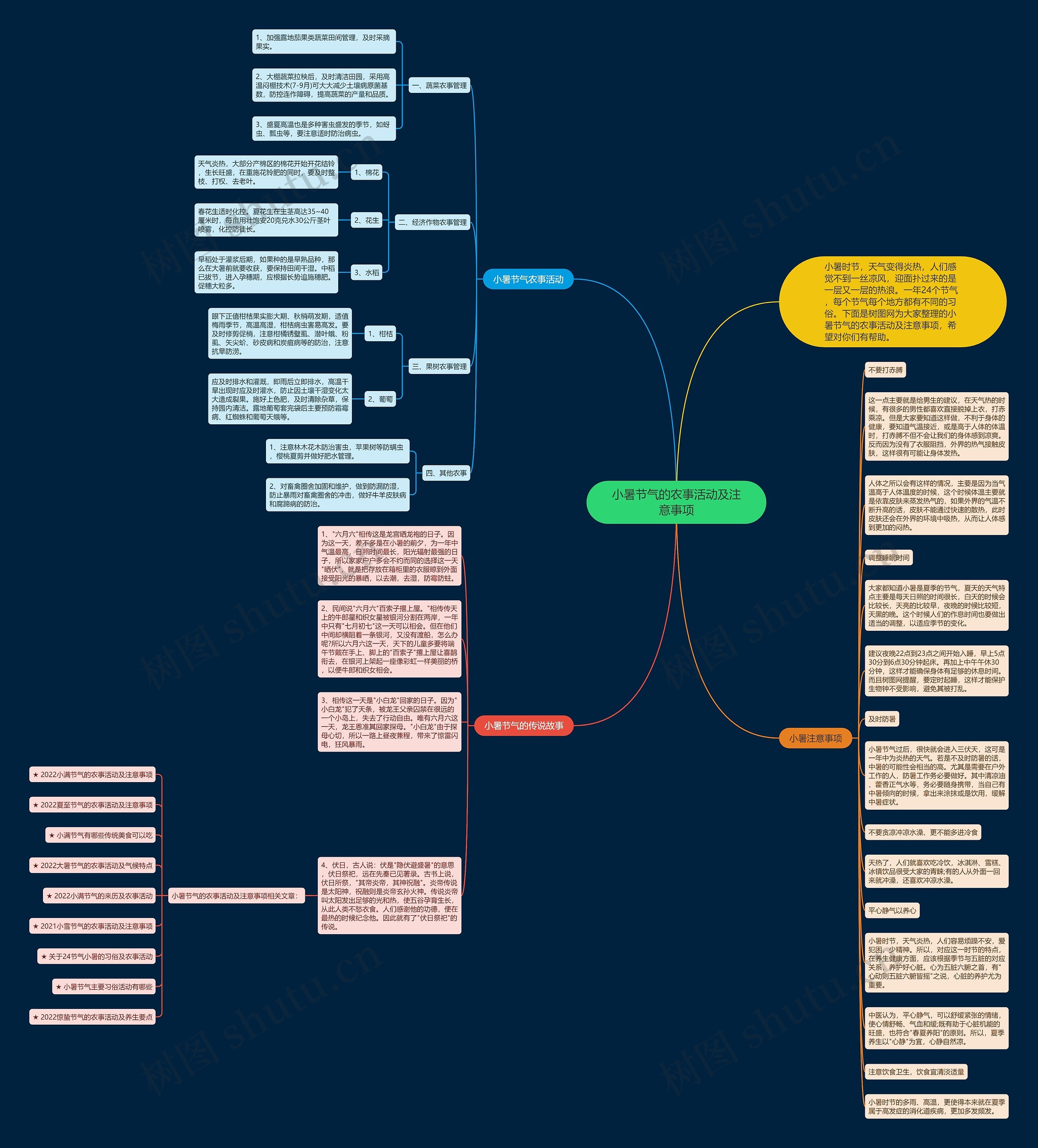 小暑节气的农事活动及注意事项思维导图