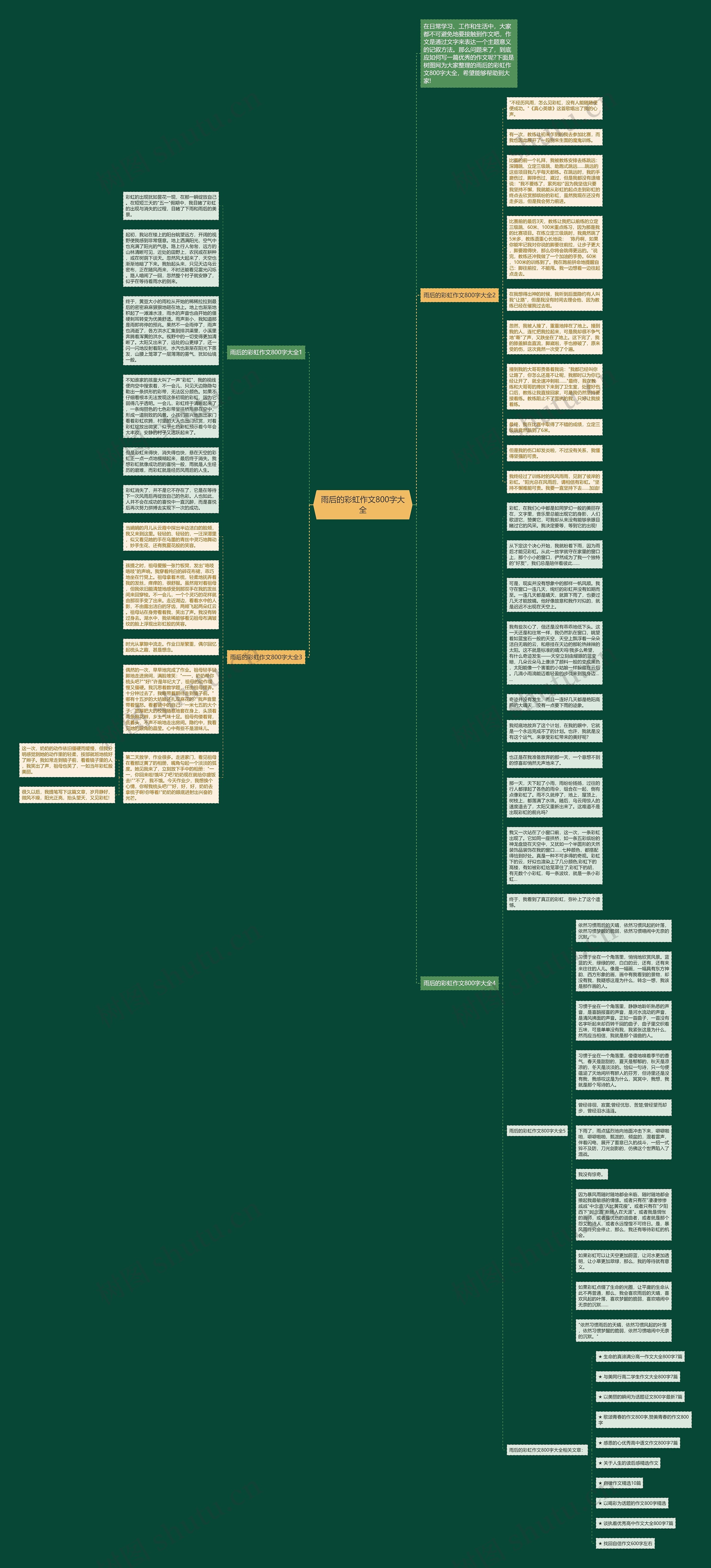 雨后的彩虹作文800字大全思维导图
