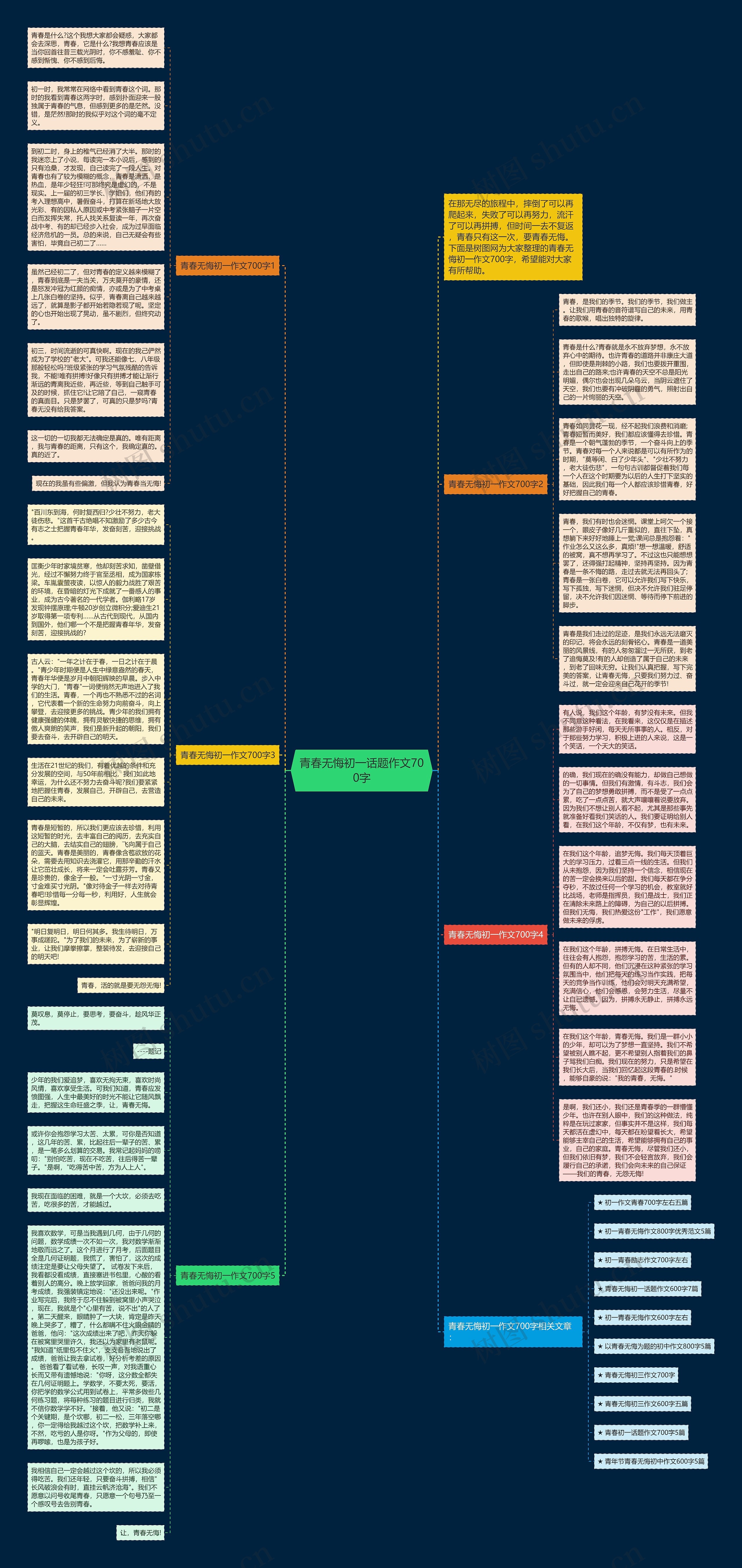 青春无悔初一话题作文700字思维导图