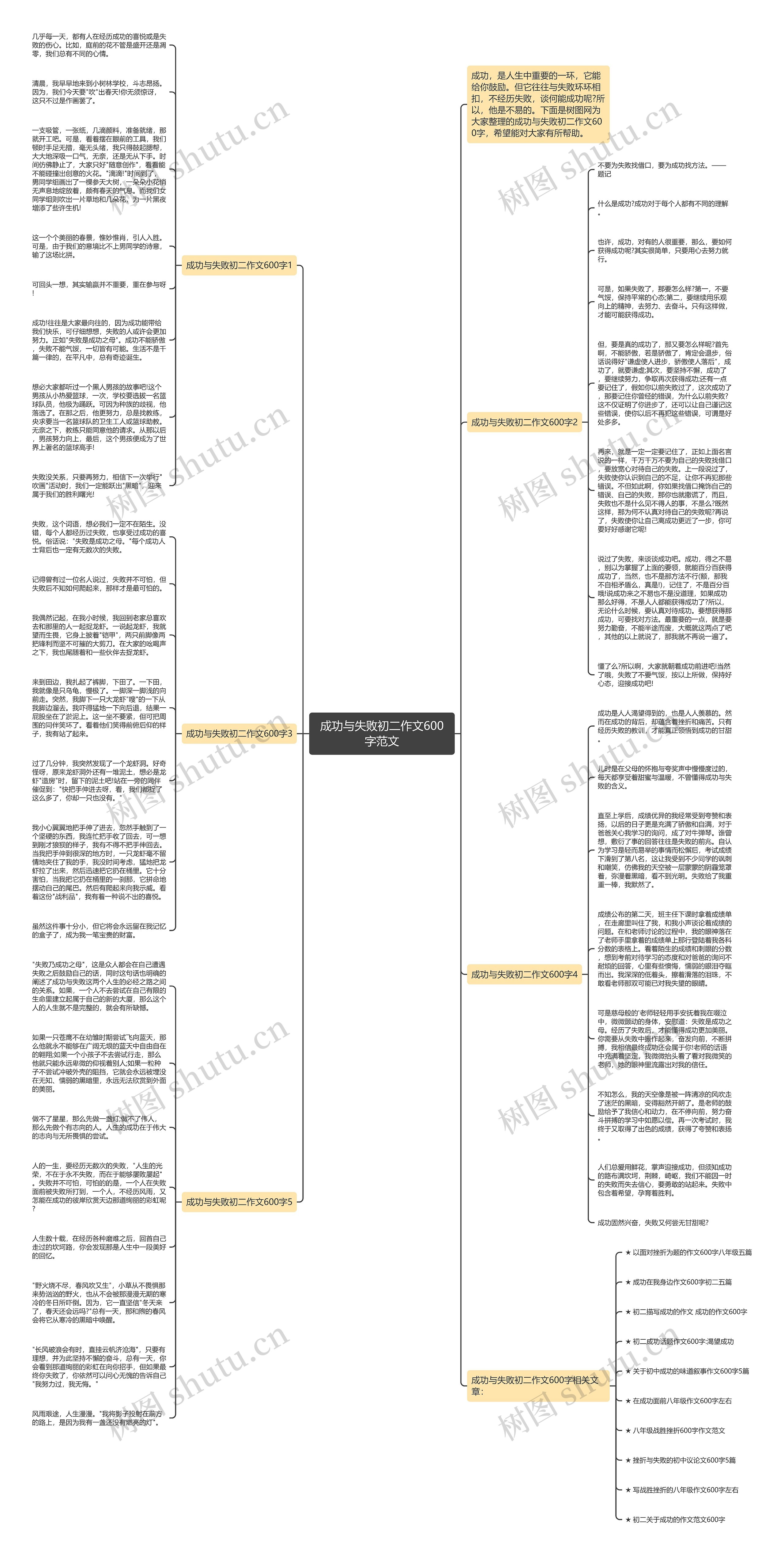 成功与失败初二作文600字范文思维导图