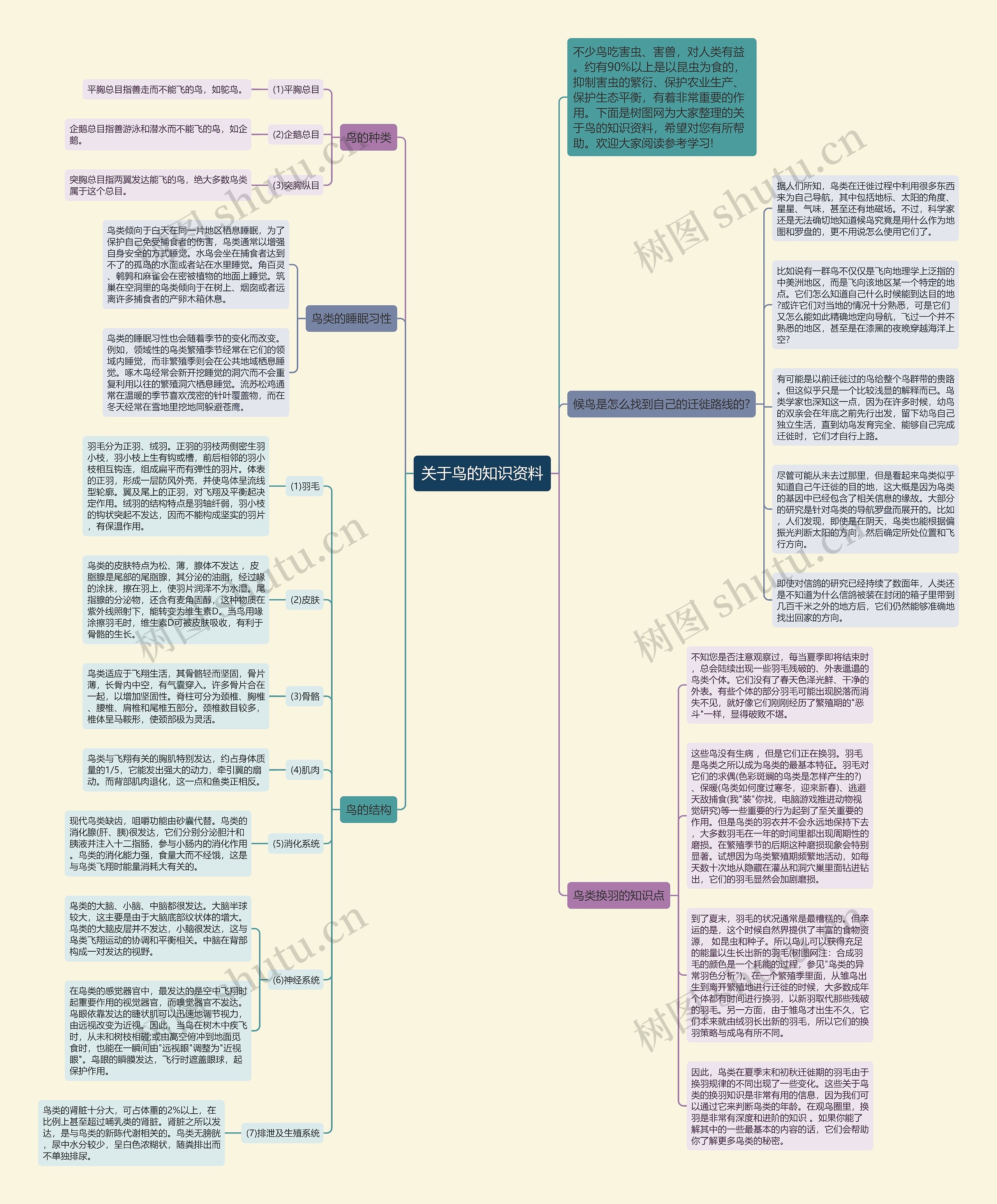 关于鸟的知识资料思维导图