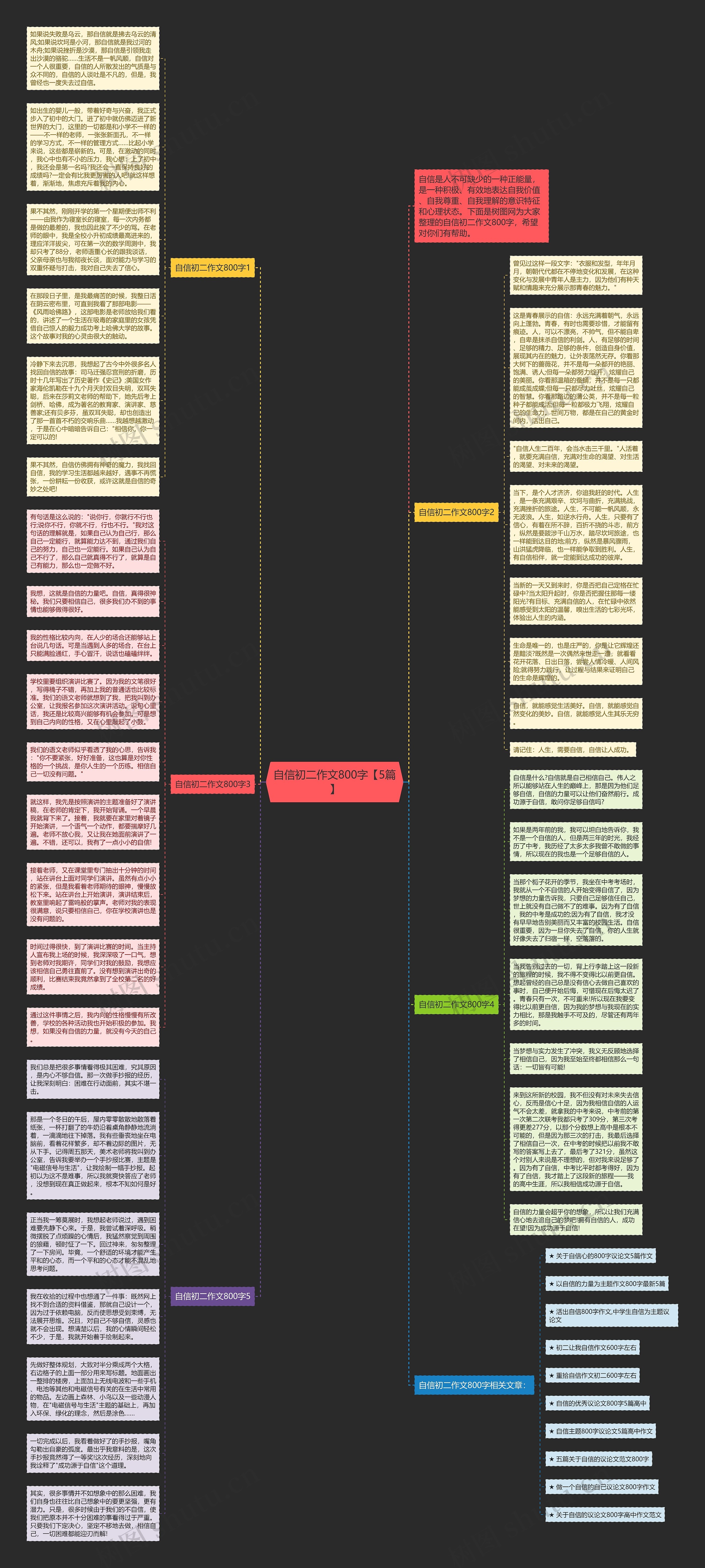自信初二作文800字【5篇】思维导图