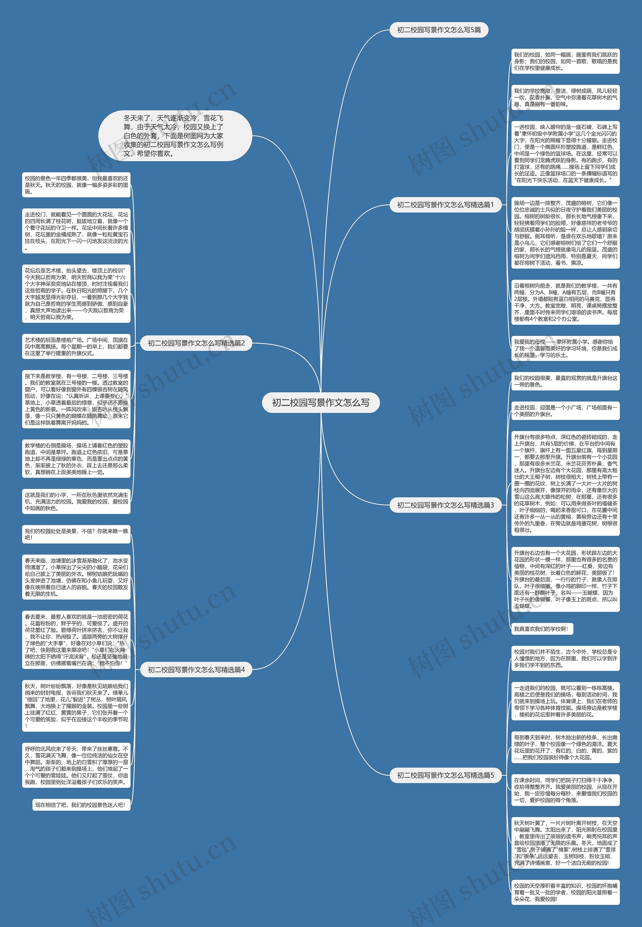 初二校园写景作文怎么写思维导图