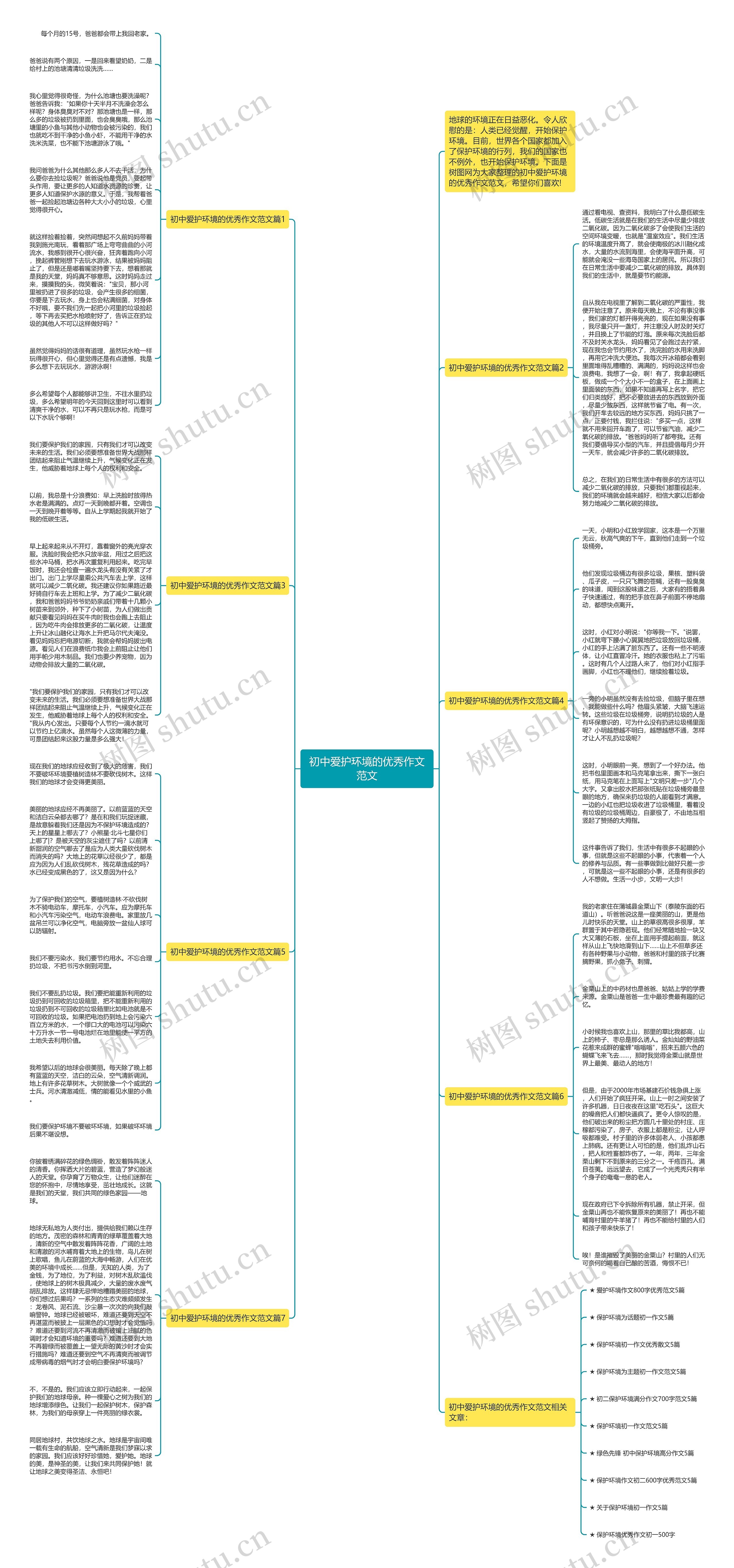 初中爱护环境的优秀作文范文思维导图