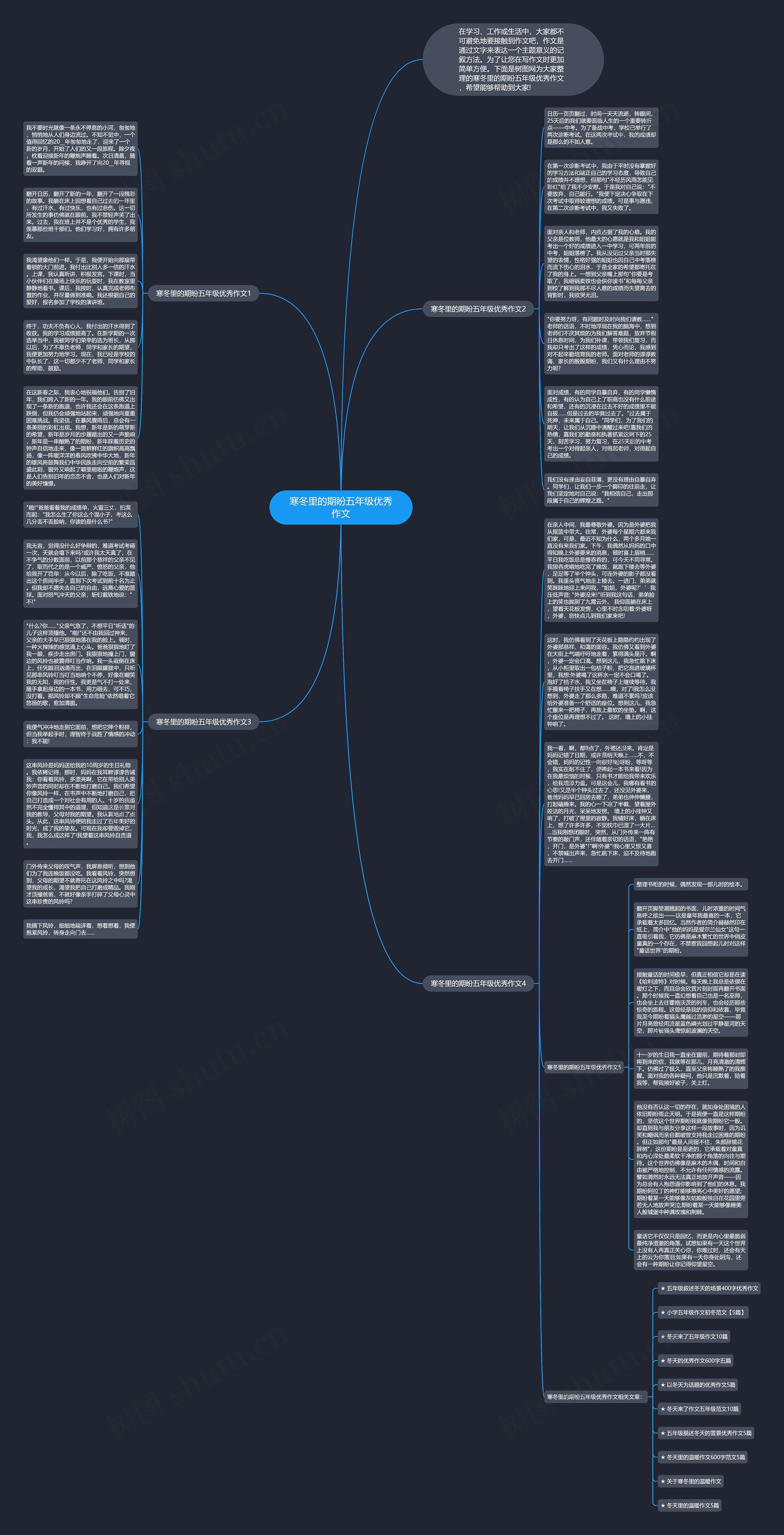 寒冬里的期盼五年级优秀作文思维导图