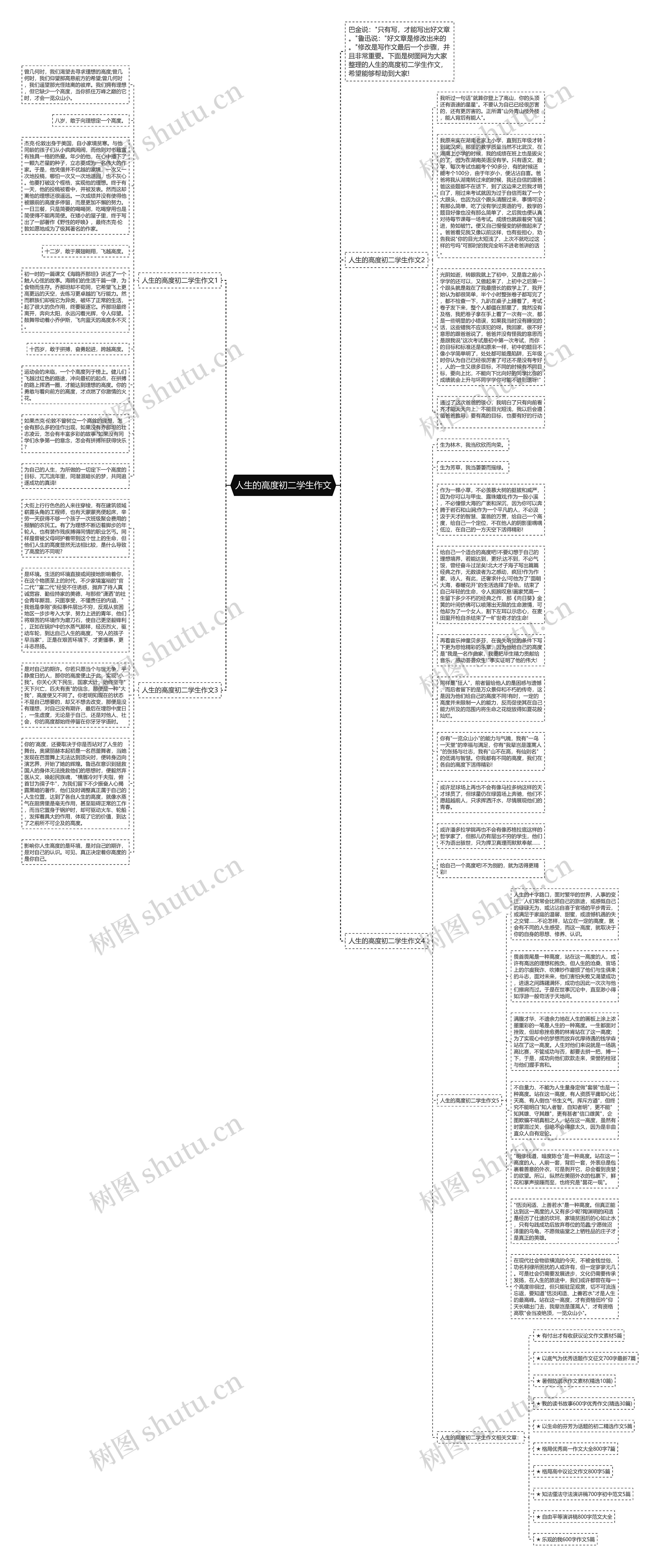 人生的高度初二学生作文思维导图