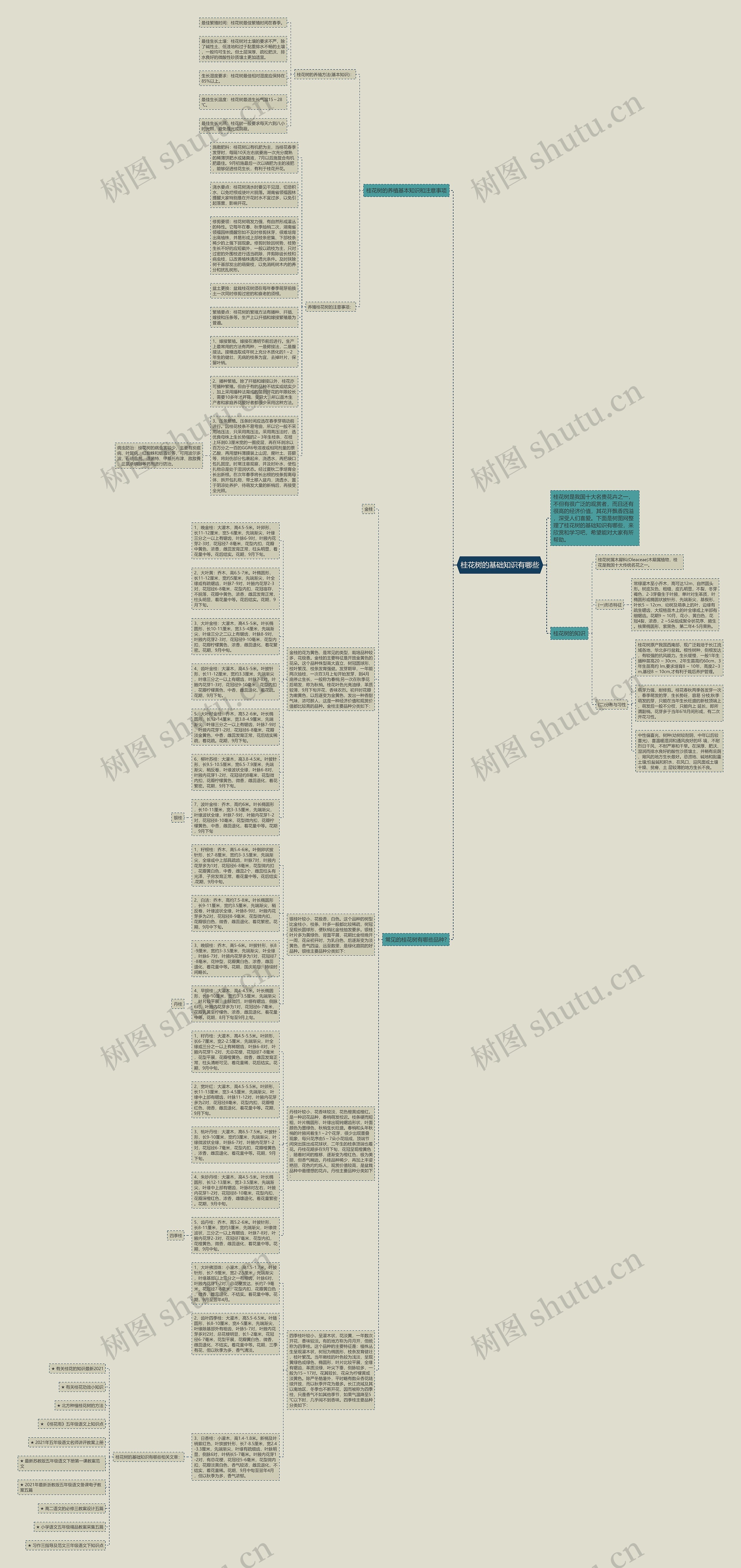 桂花树的基础知识有哪些思维导图