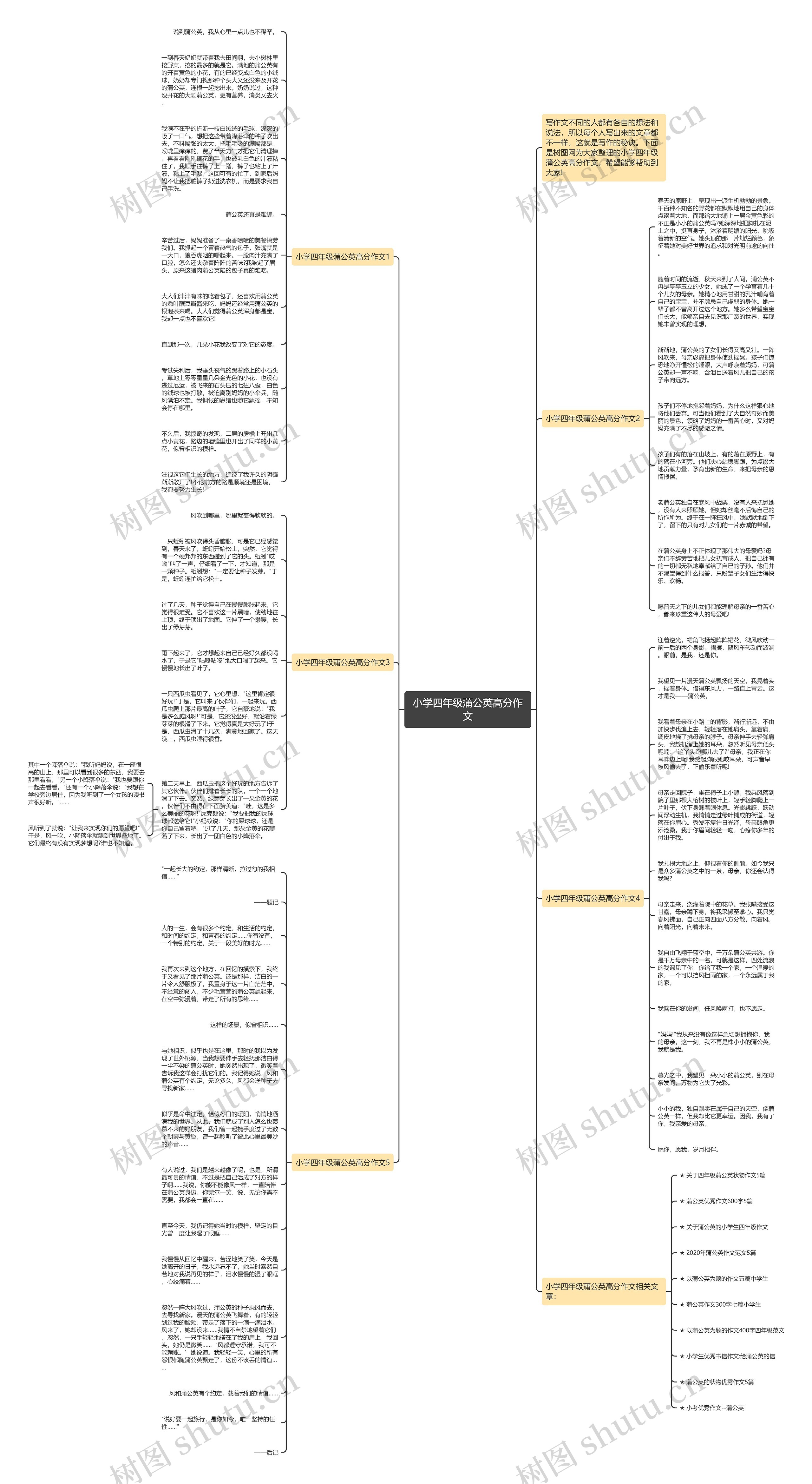 小学四年级蒲公英高分作文思维导图