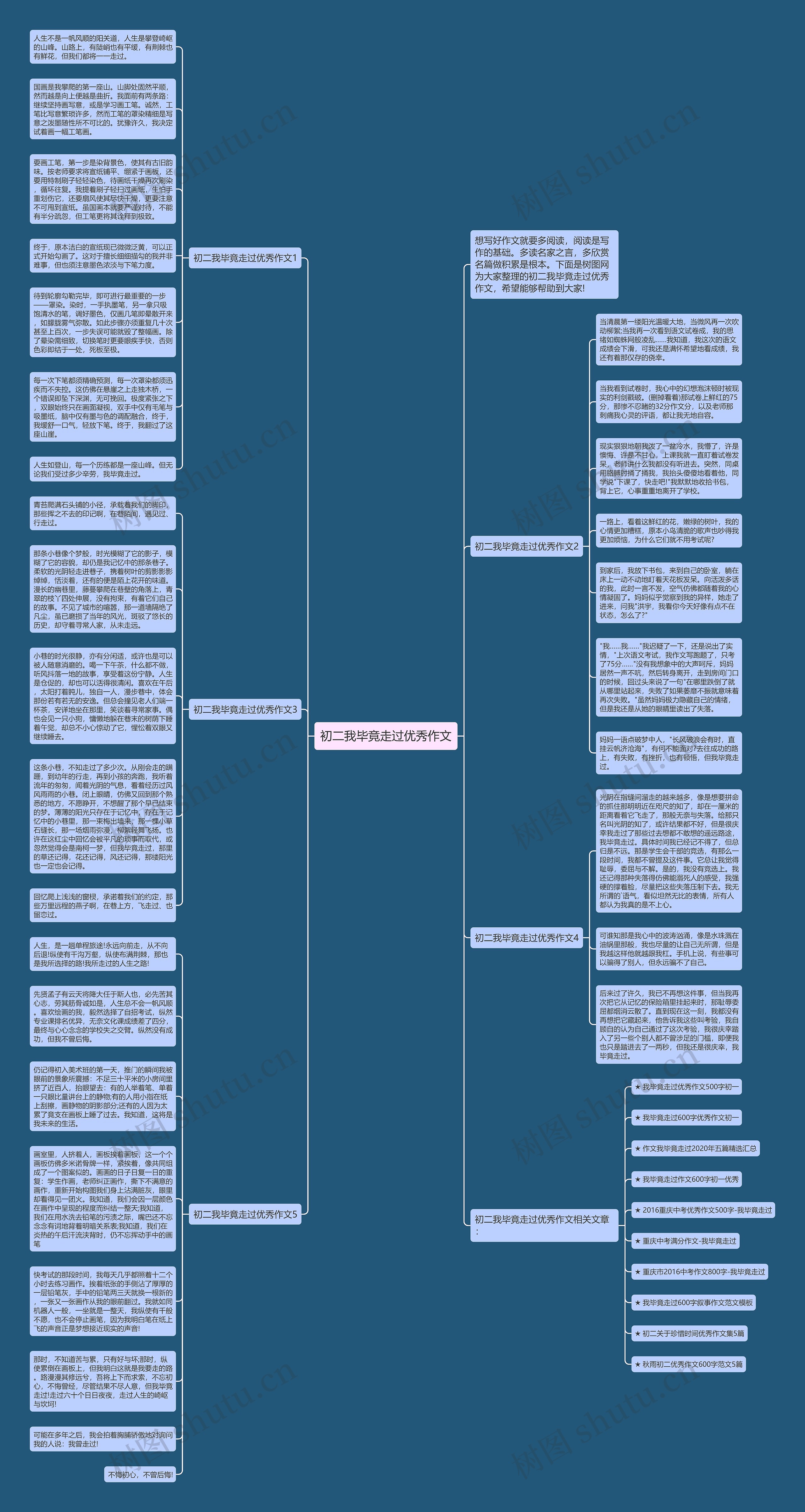 初二我毕竟走过优秀作文思维导图