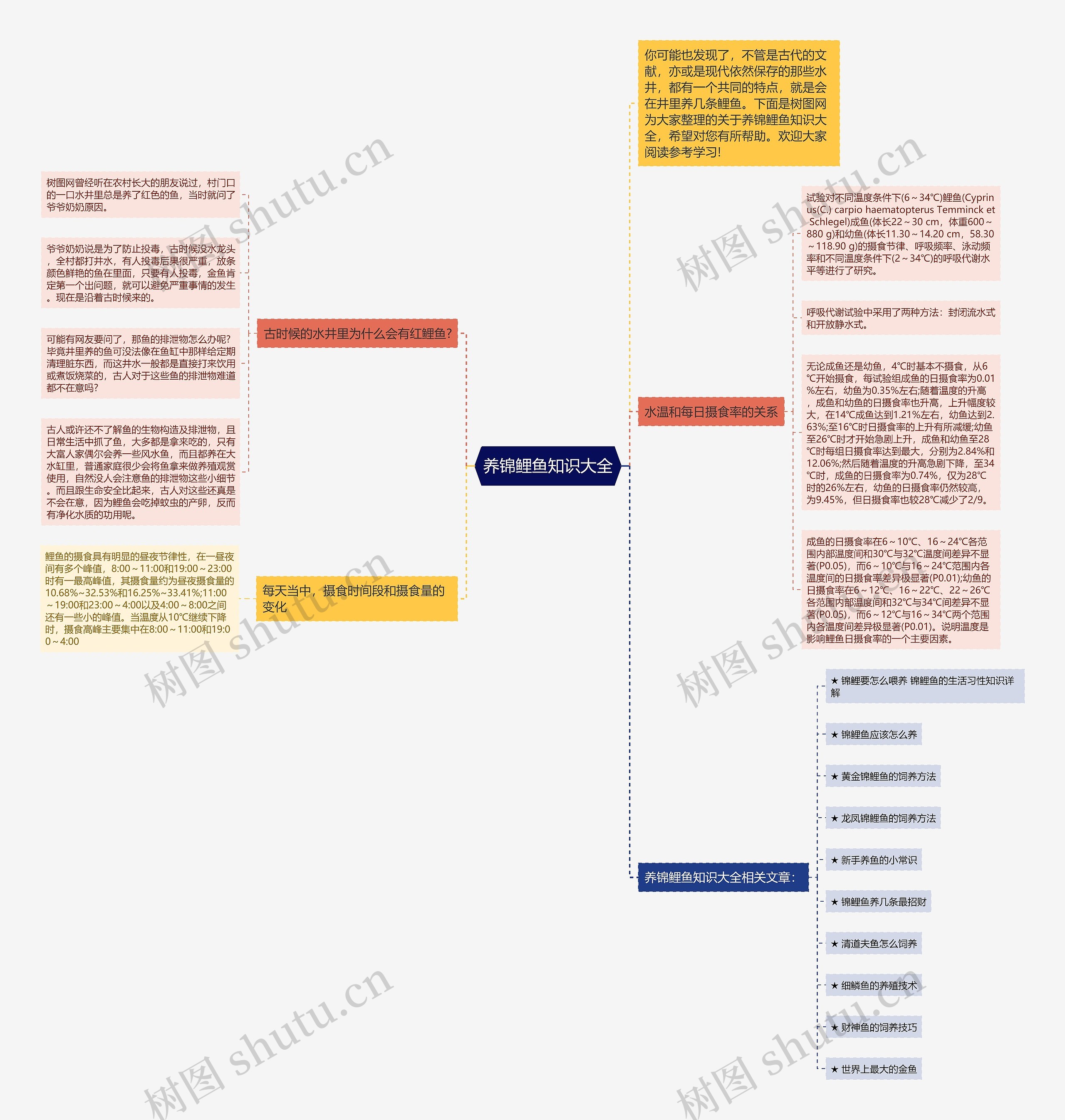 养锦鲤鱼知识大全思维导图