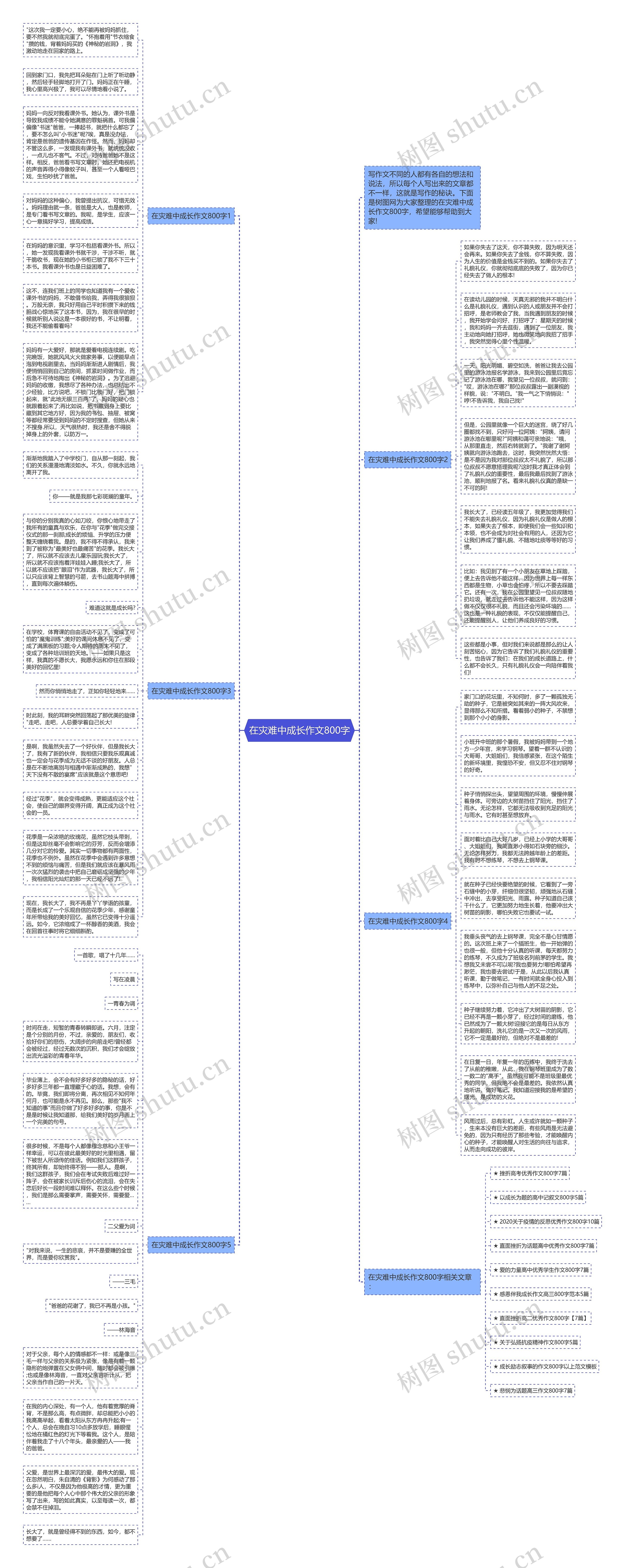 在灾难中成长作文800字思维导图