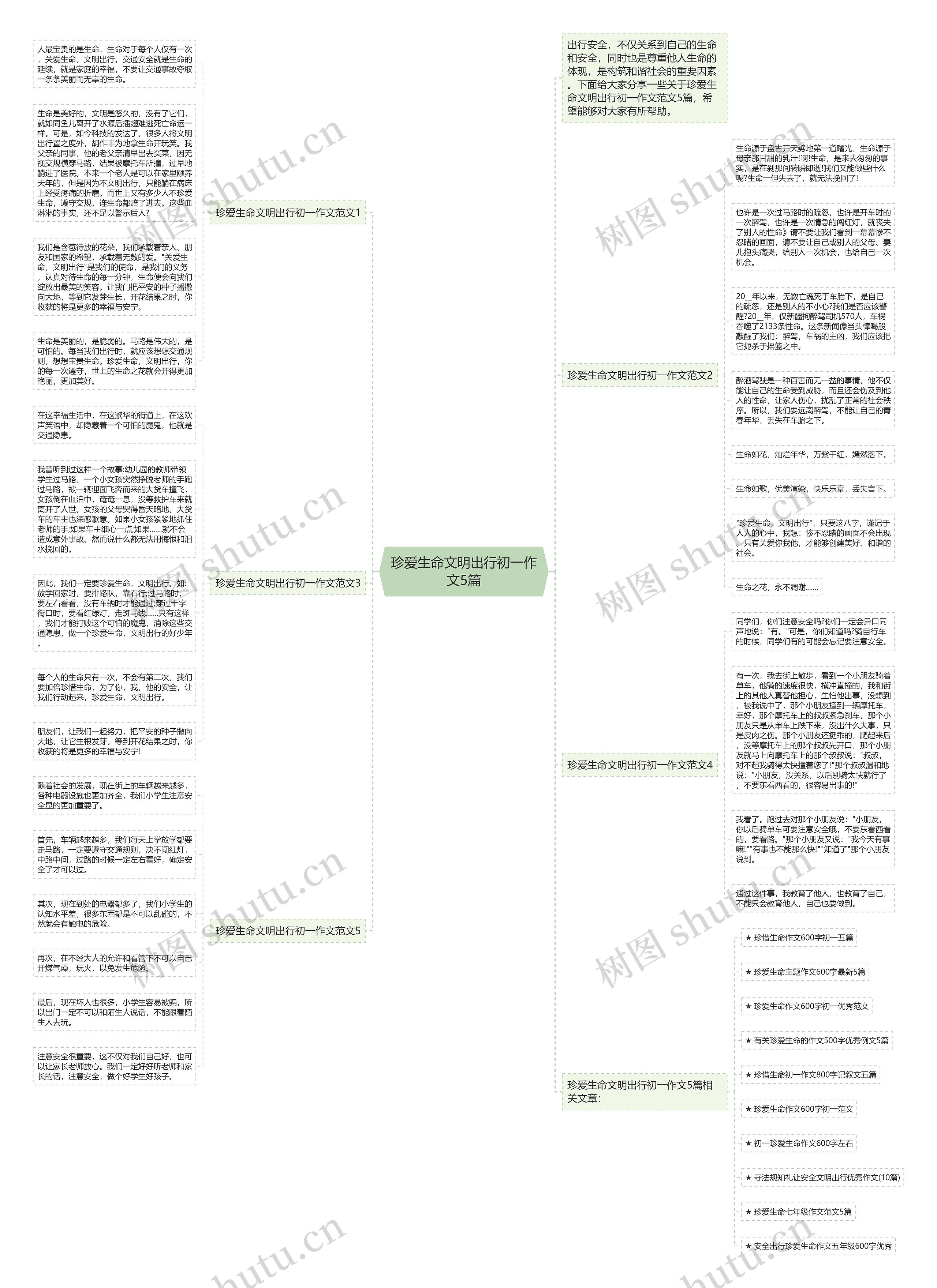 珍爱生命文明出行初一作文5篇