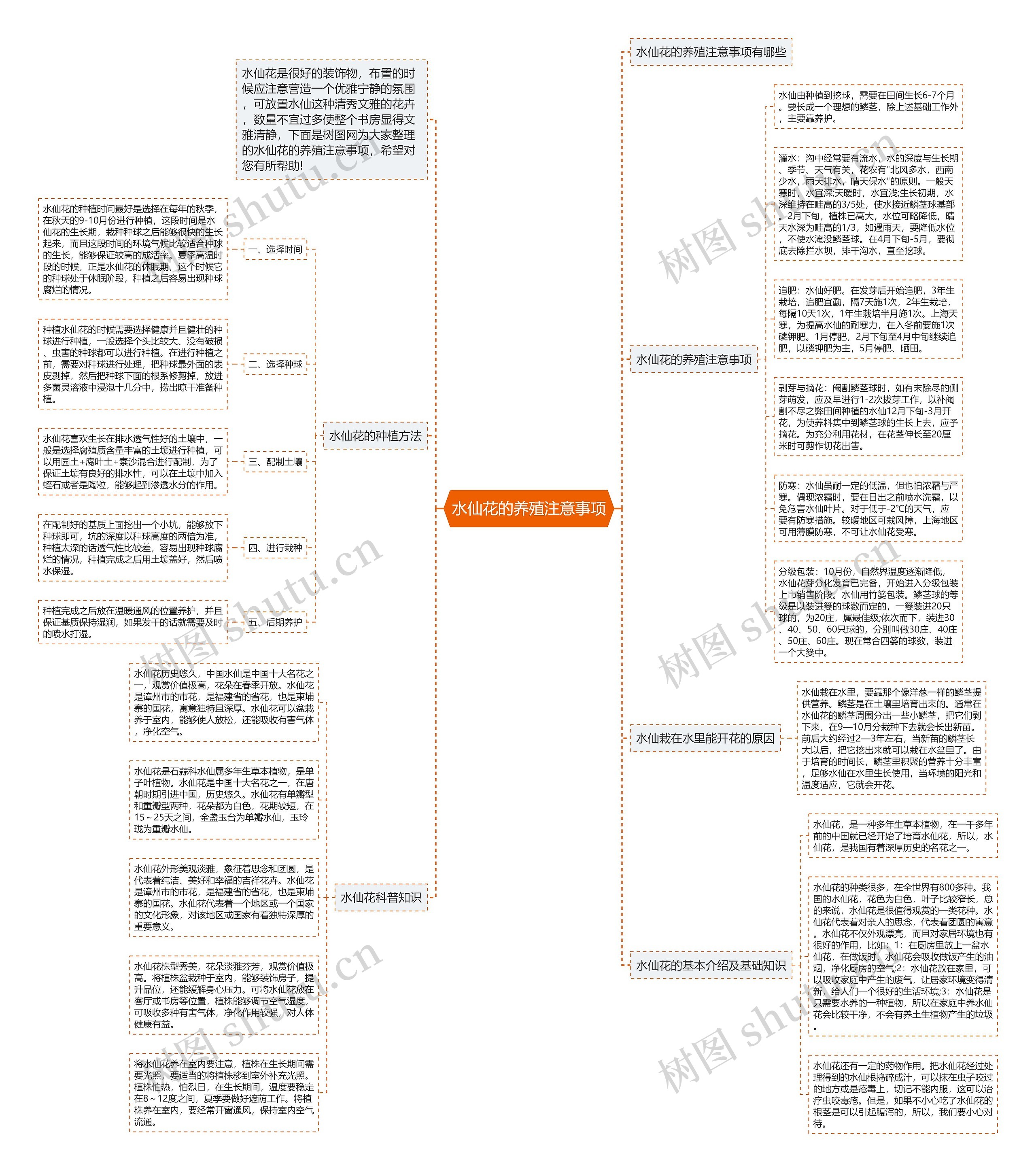 水仙花的养殖注意事项思维导图