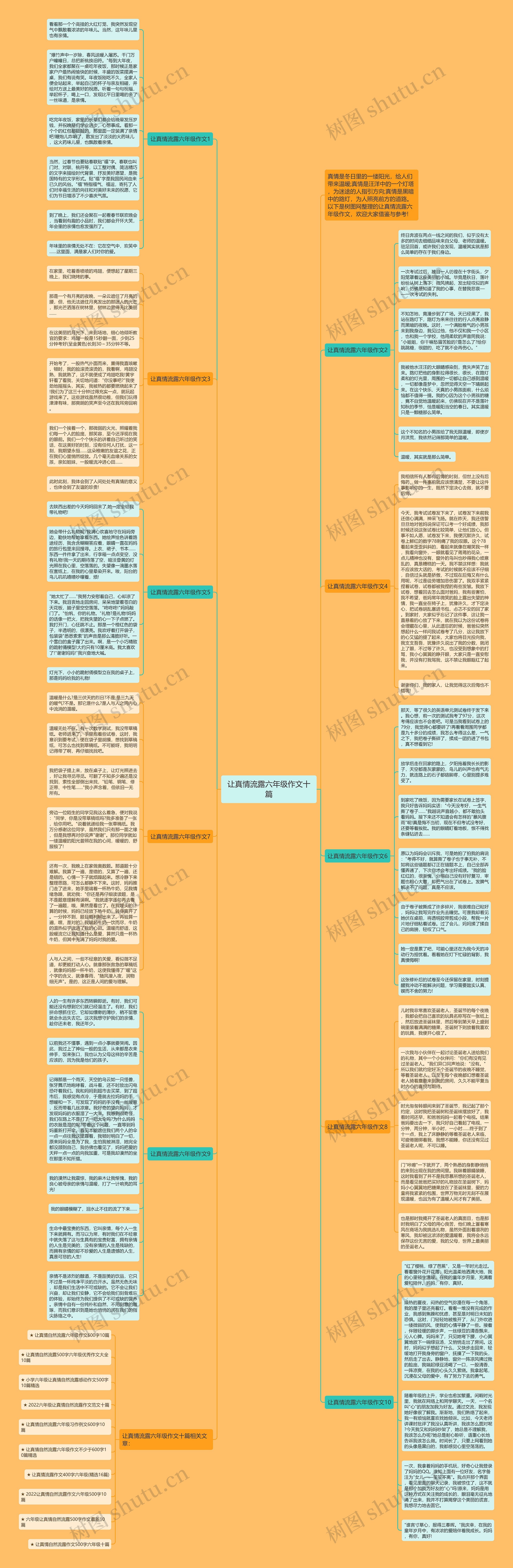 让真情流露六年级作文十篇思维导图