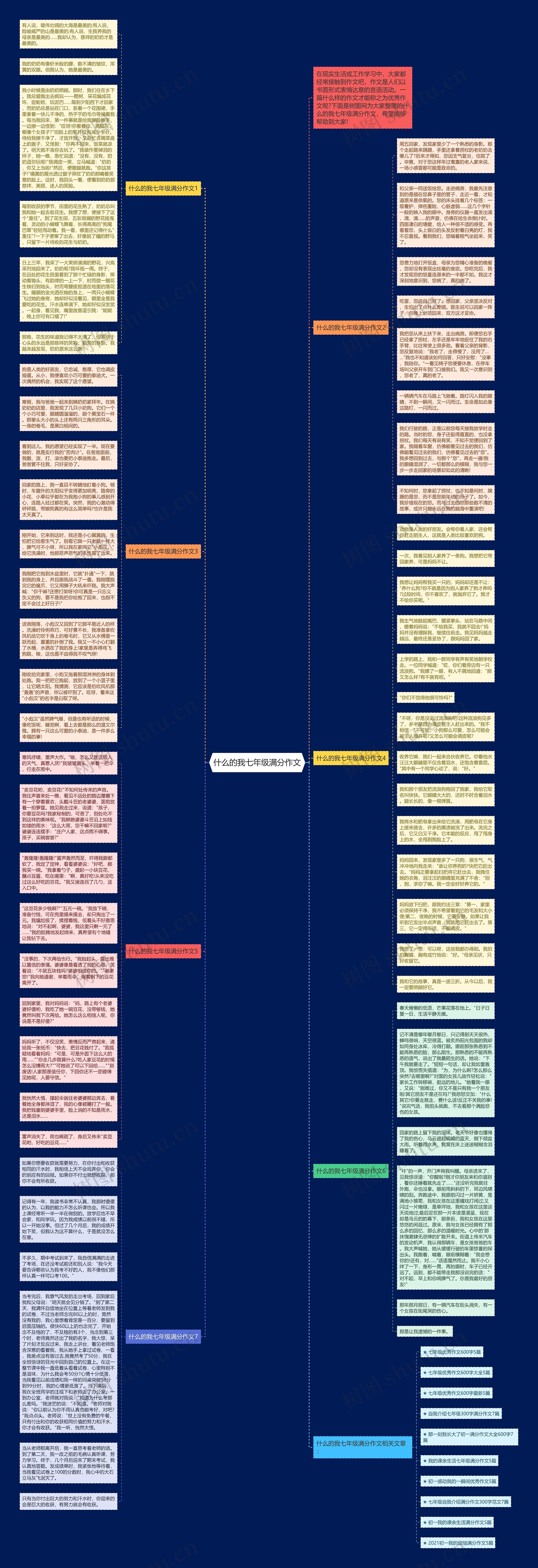 什么的我七年级满分作文