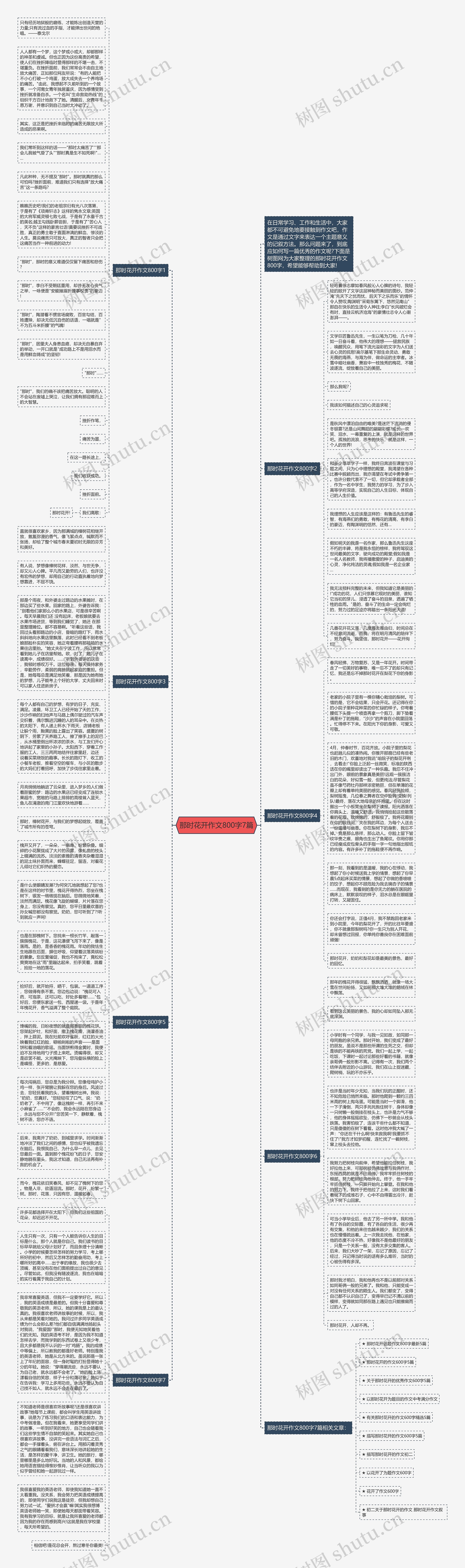 那时花开作文800字7篇思维导图