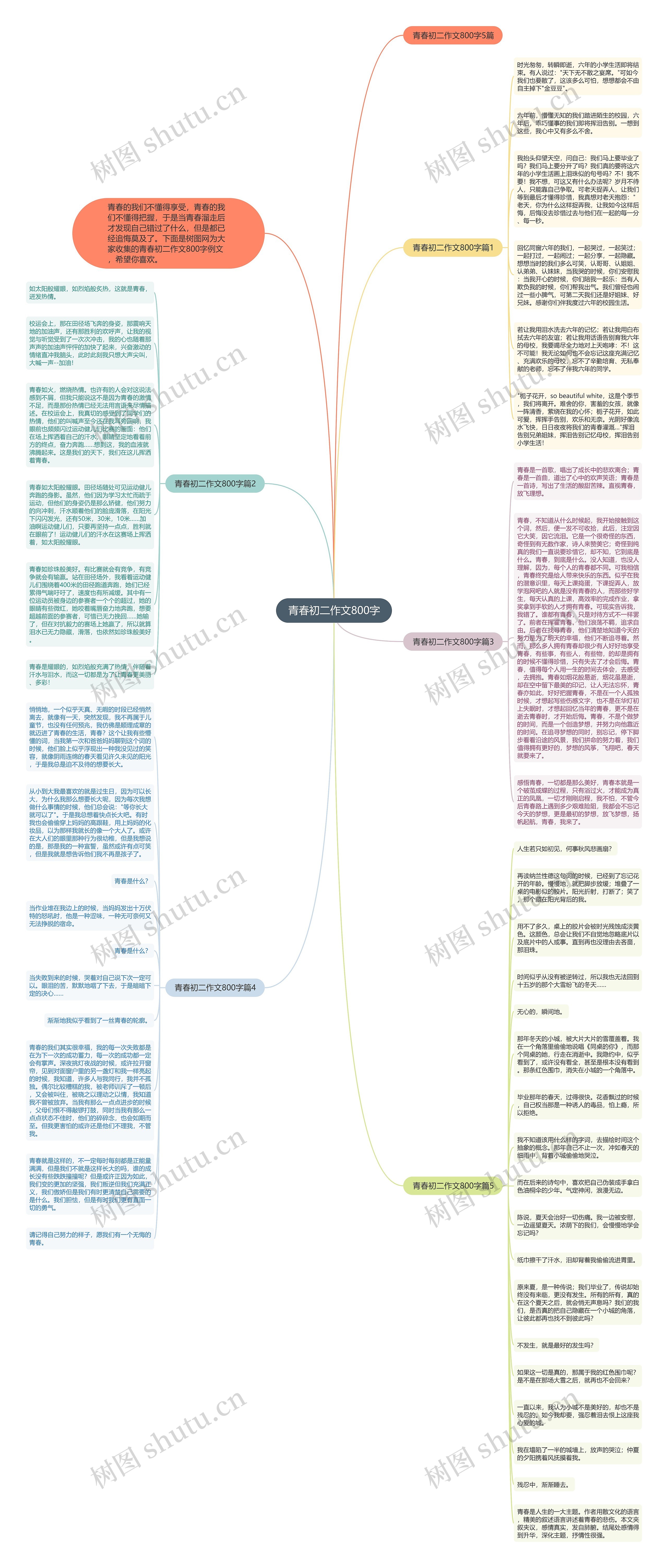 青春初二作文800字思维导图