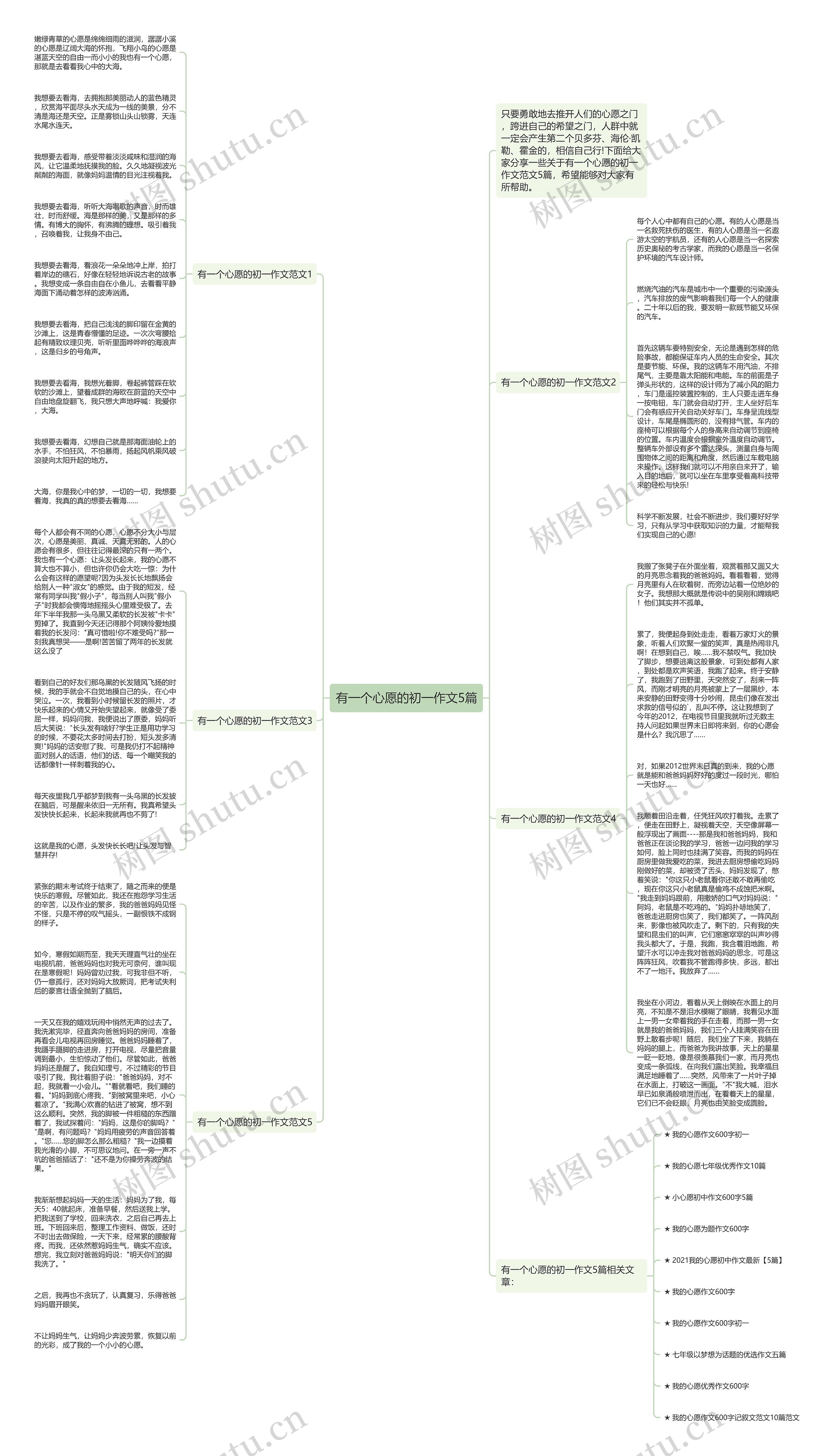 有一个心愿的初一作文5篇思维导图