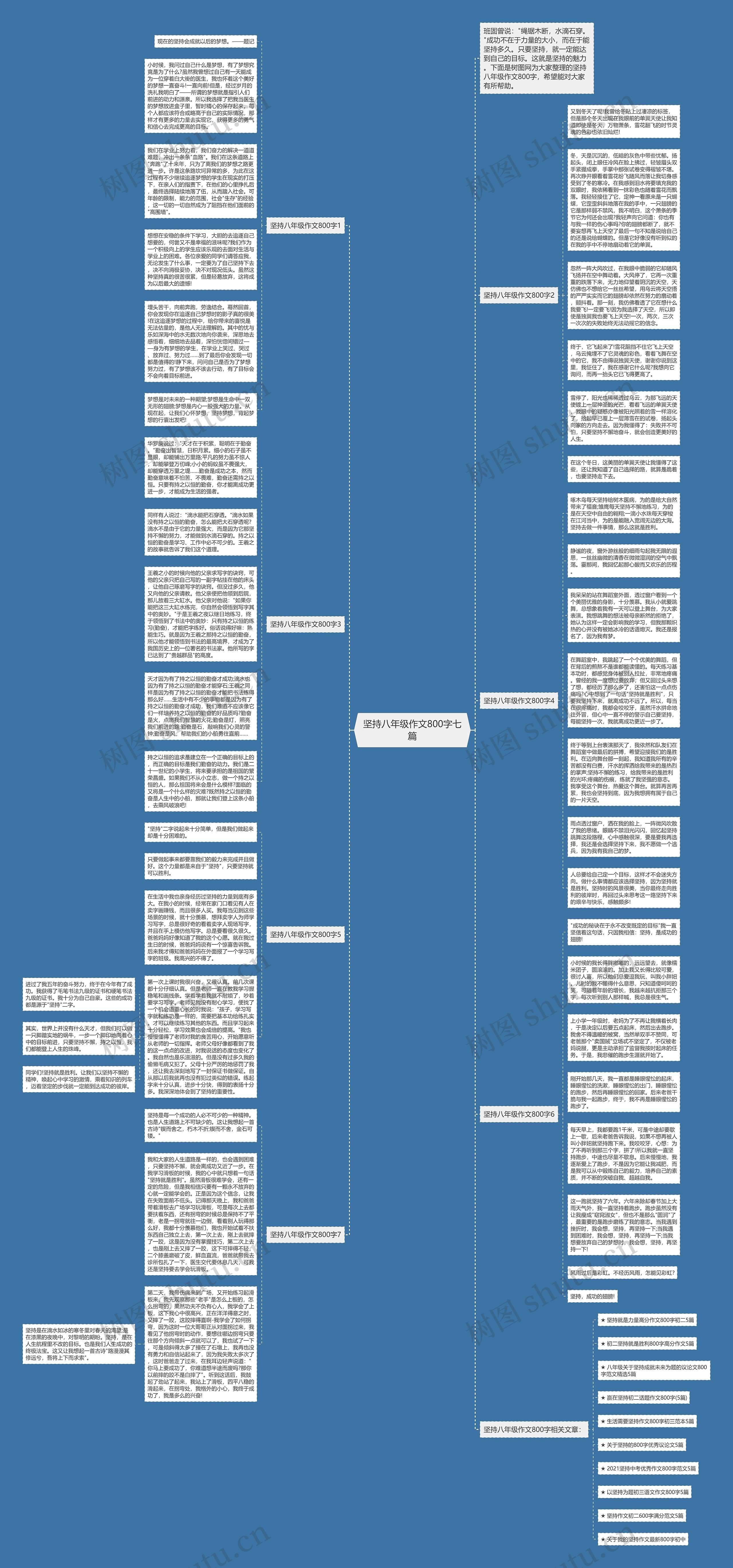 坚持八年级作文800字七篇思维导图