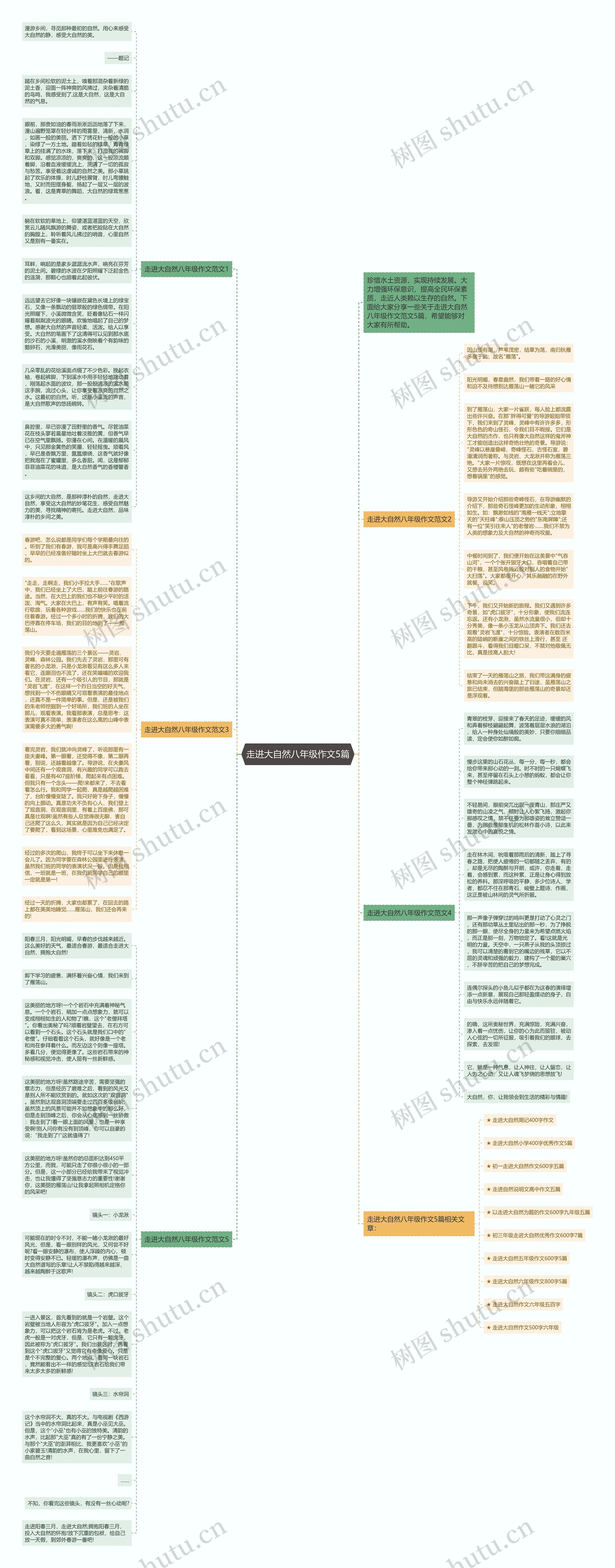 走进大自然八年级作文5篇思维导图