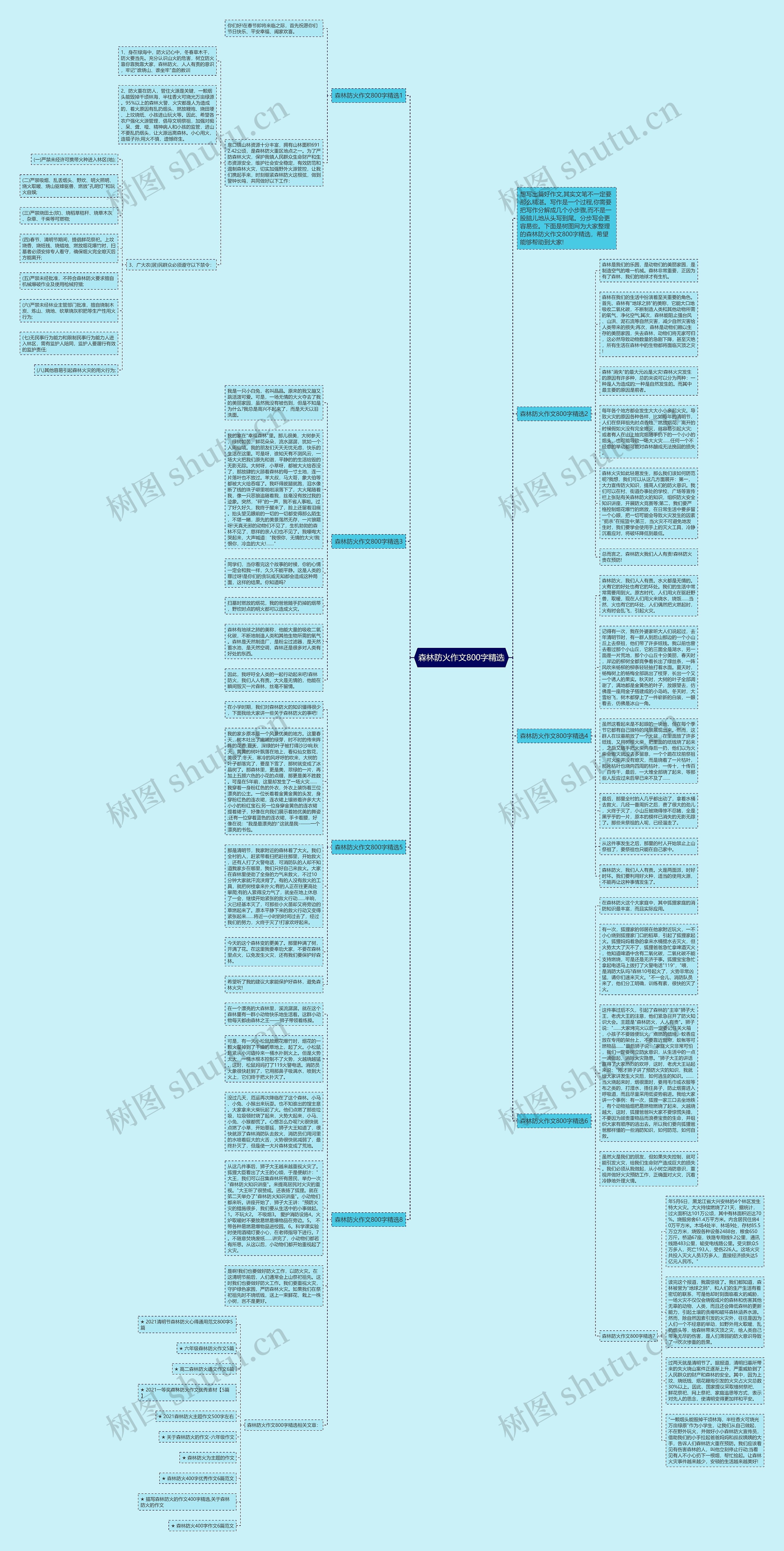 森林防火作文800字精选