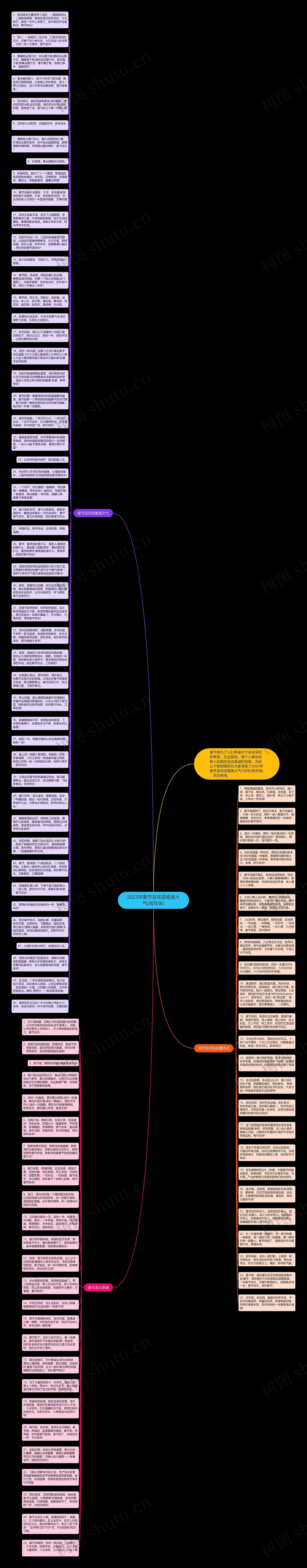 2023年春节吉祥语唯美大气(有年味)思维导图