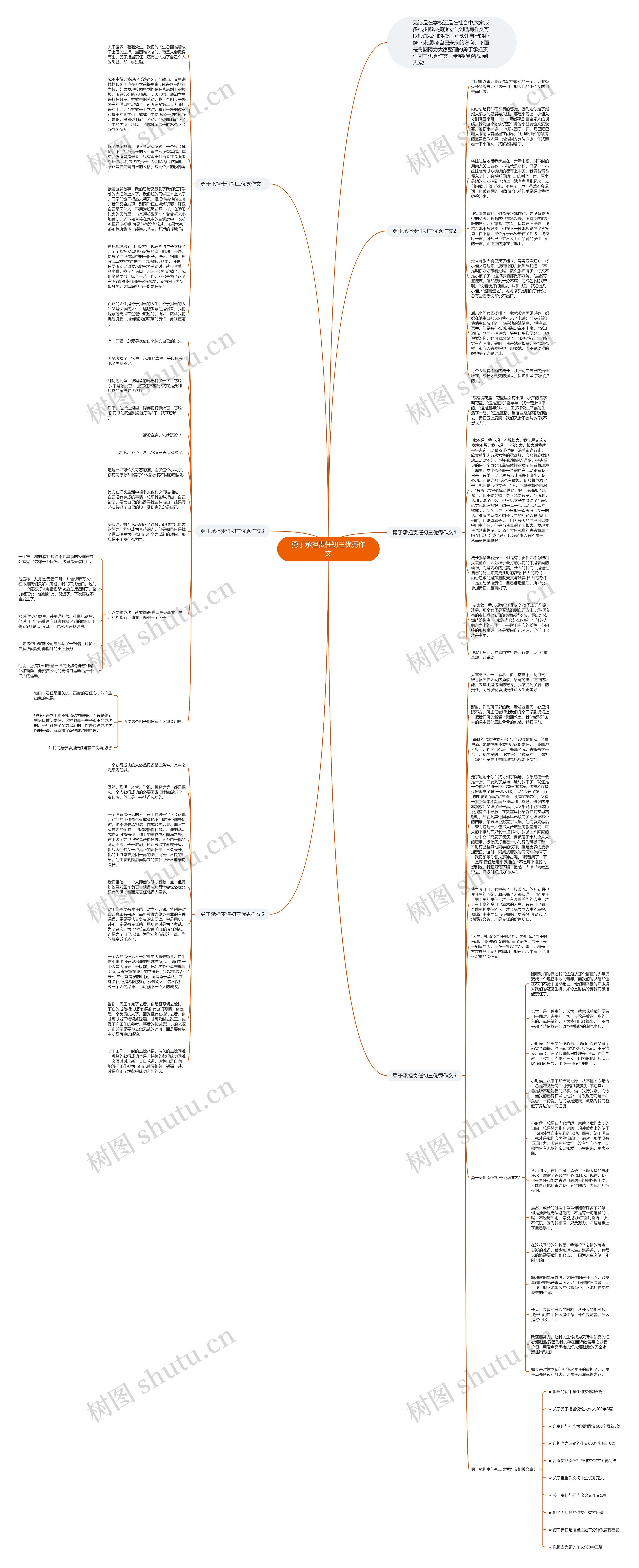 勇于承担责任初三优秀作文思维导图